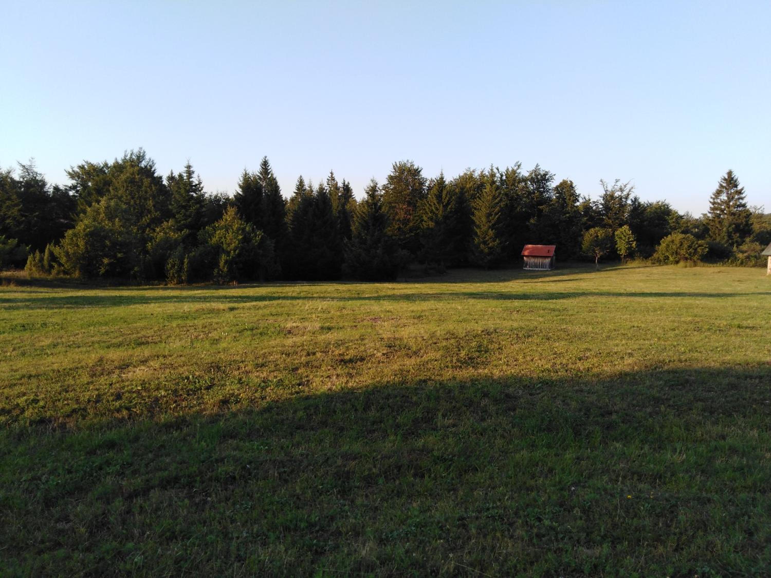 Photo 48