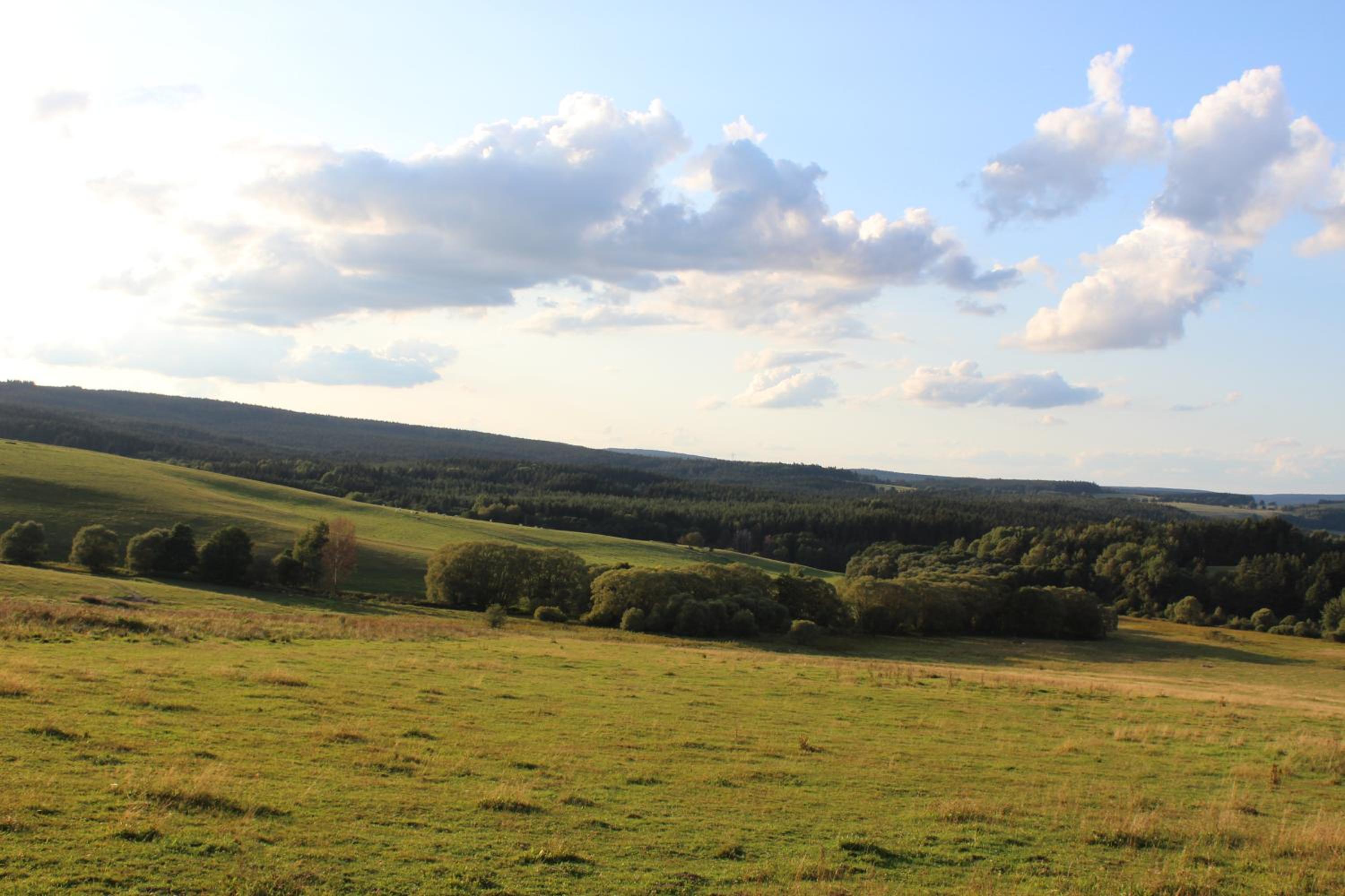 Čtyři pokoje
