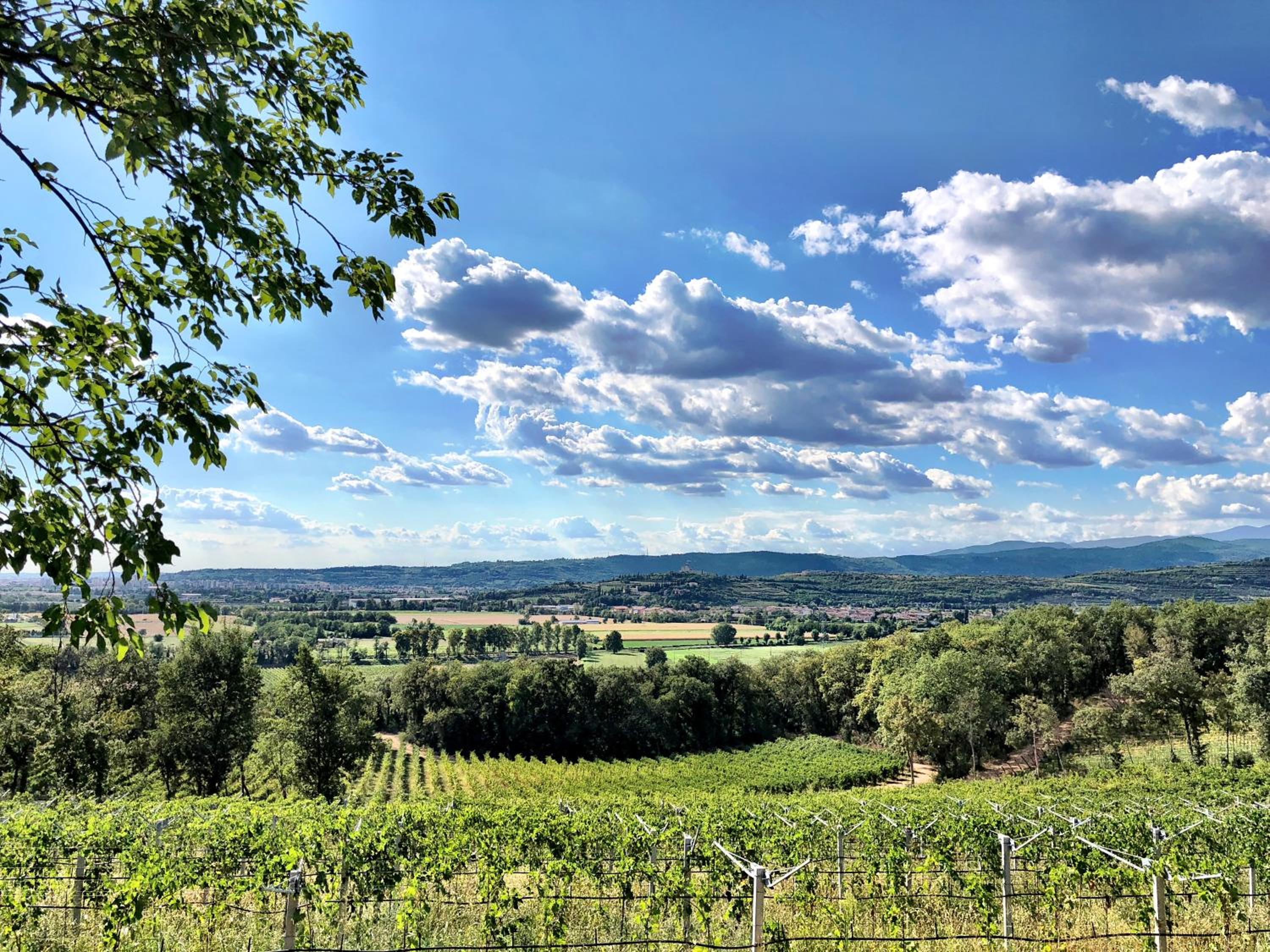 Musella Winery & Relais