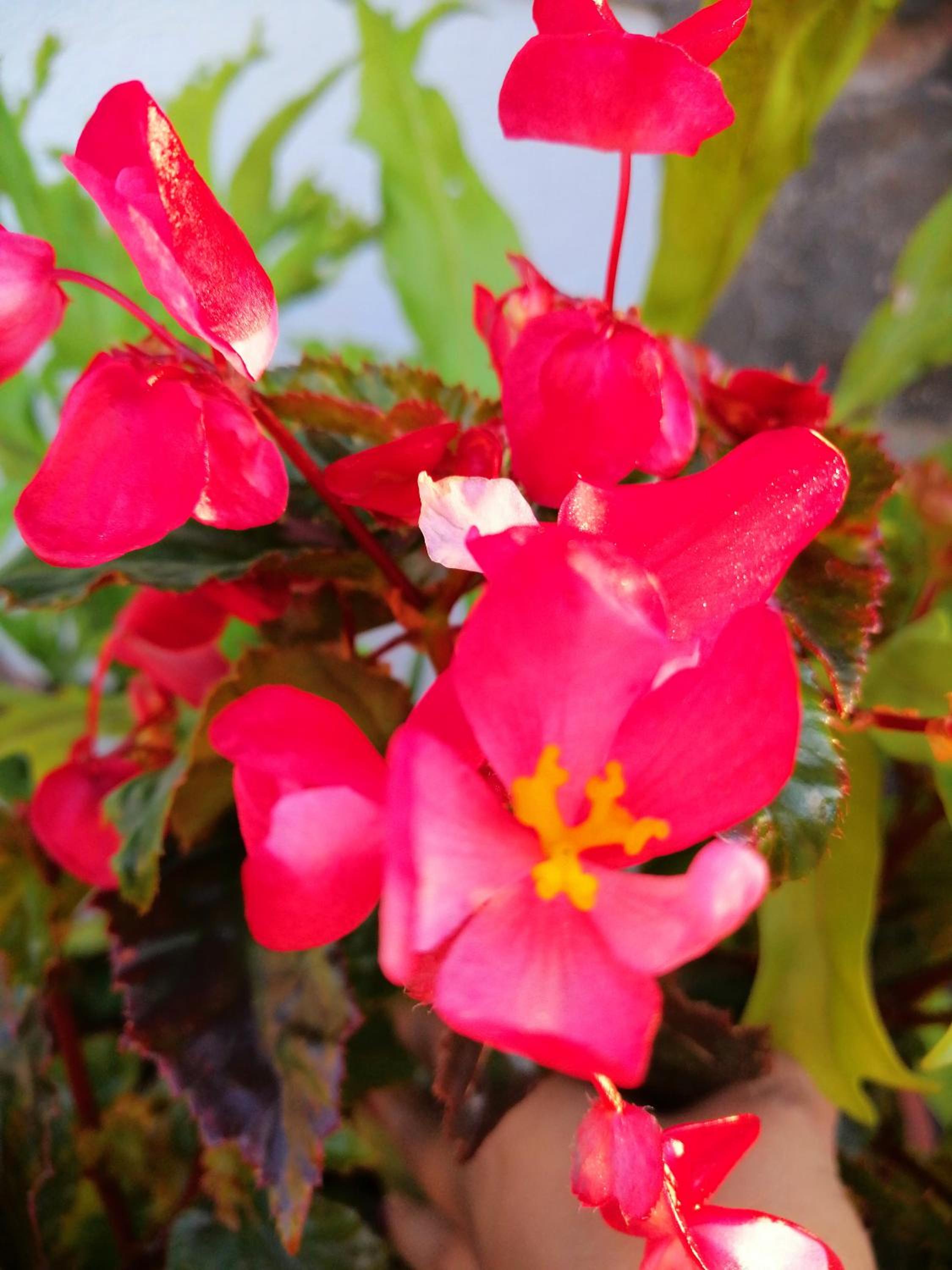 Photo 27