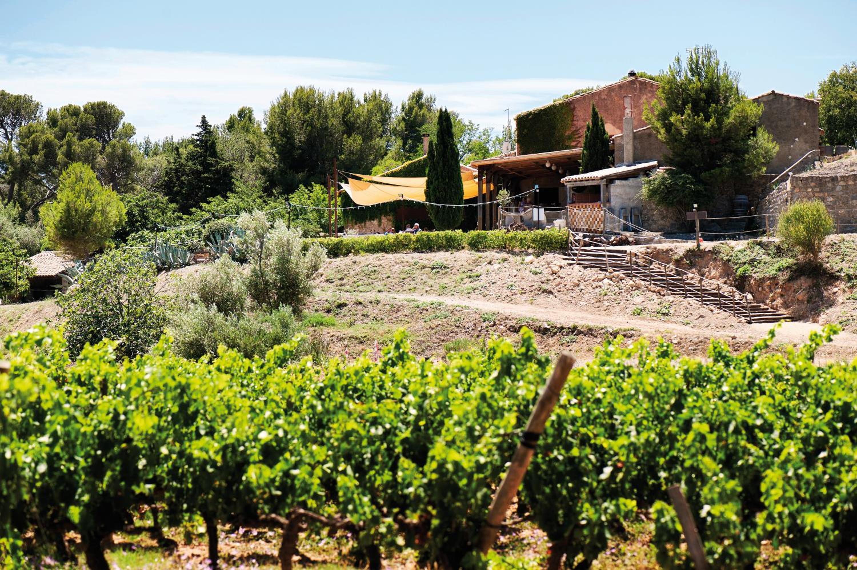 Château le Bouïs