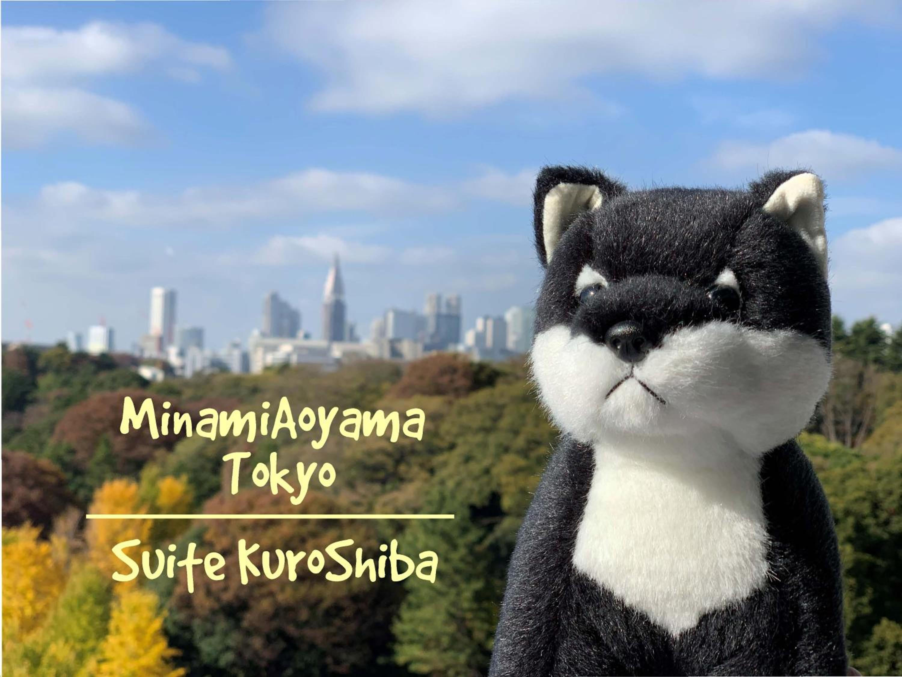 Minami-Aoyama-1st
