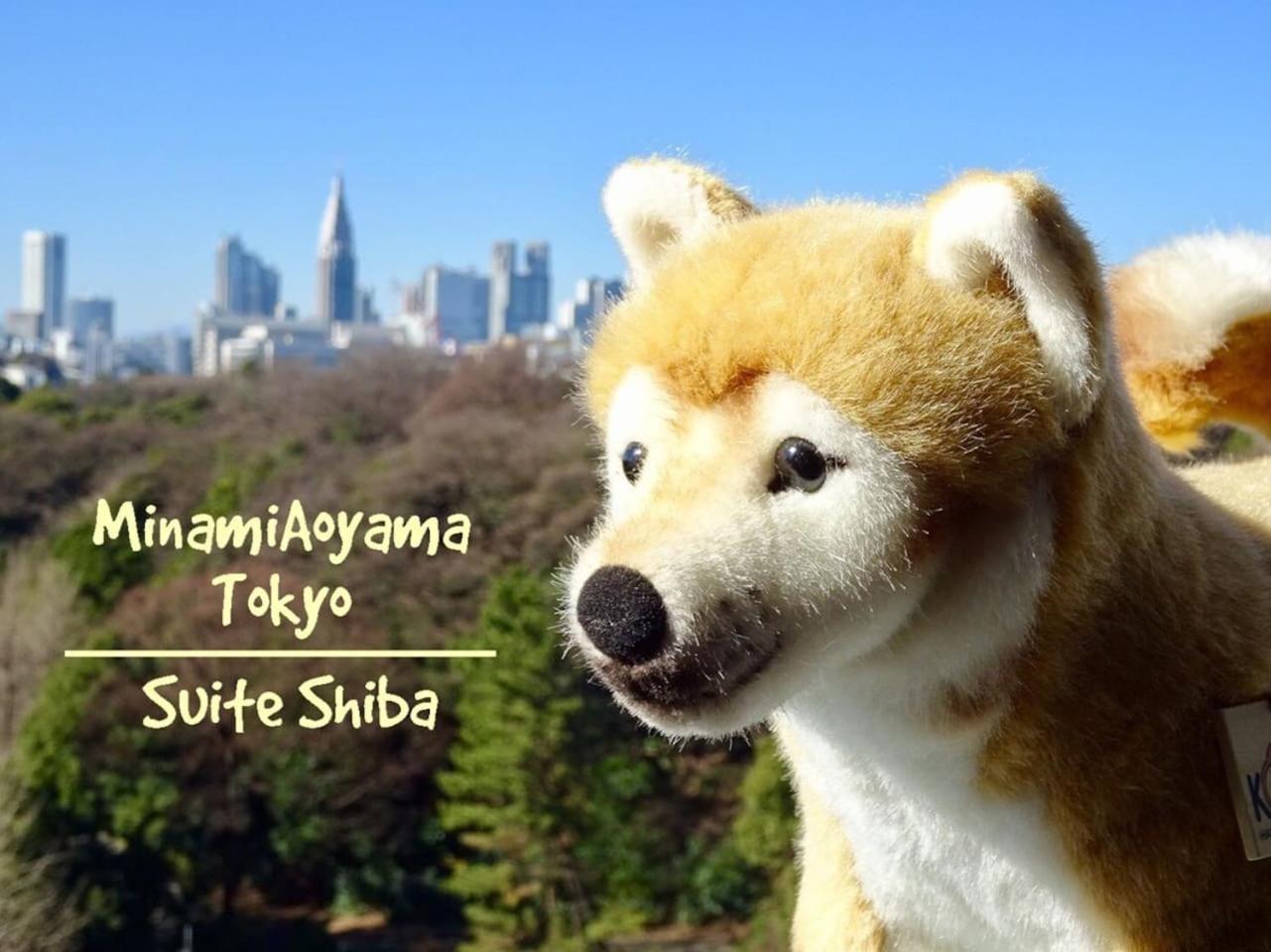 Minami-Aoyama-1st
