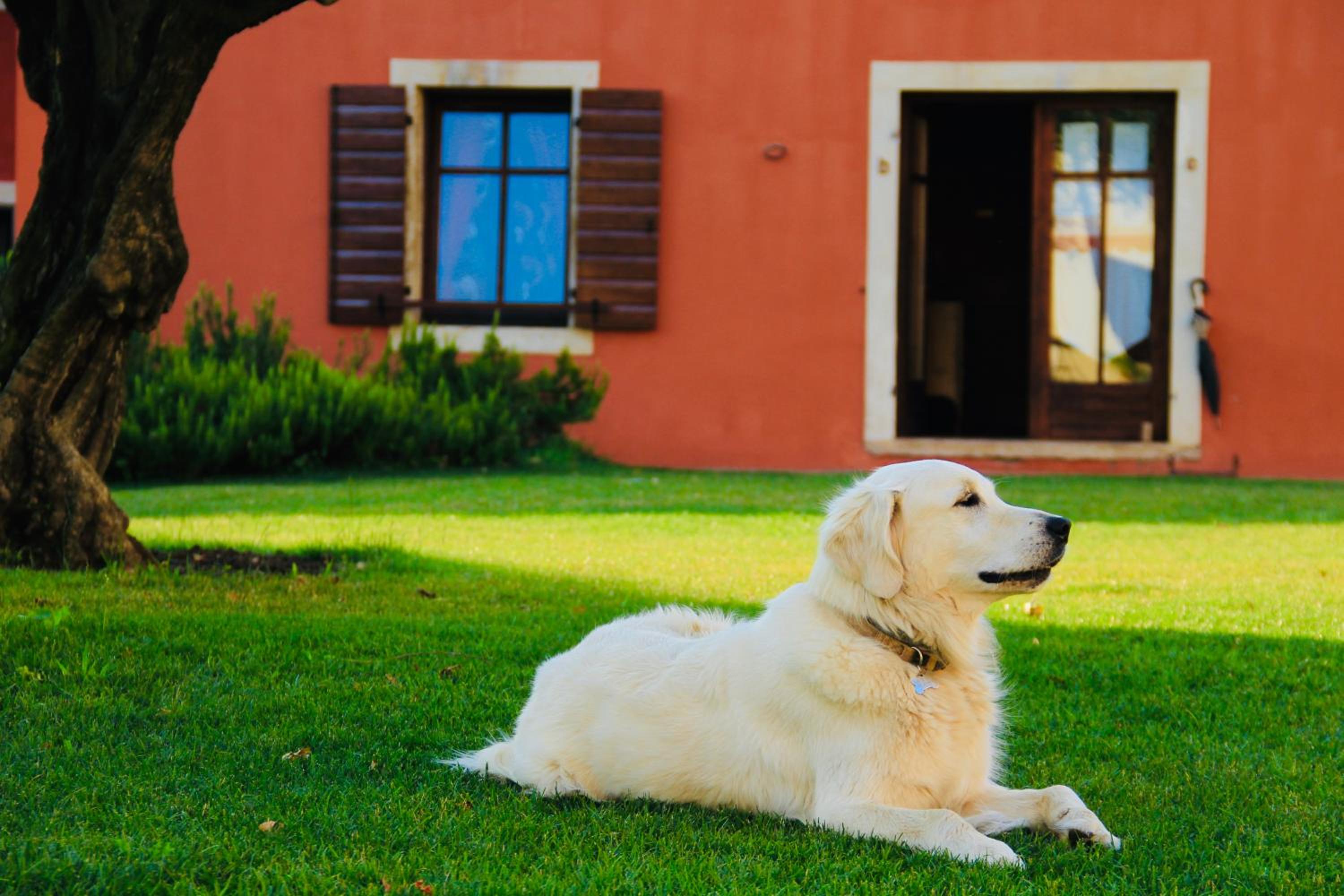 Musella Winery & Relais