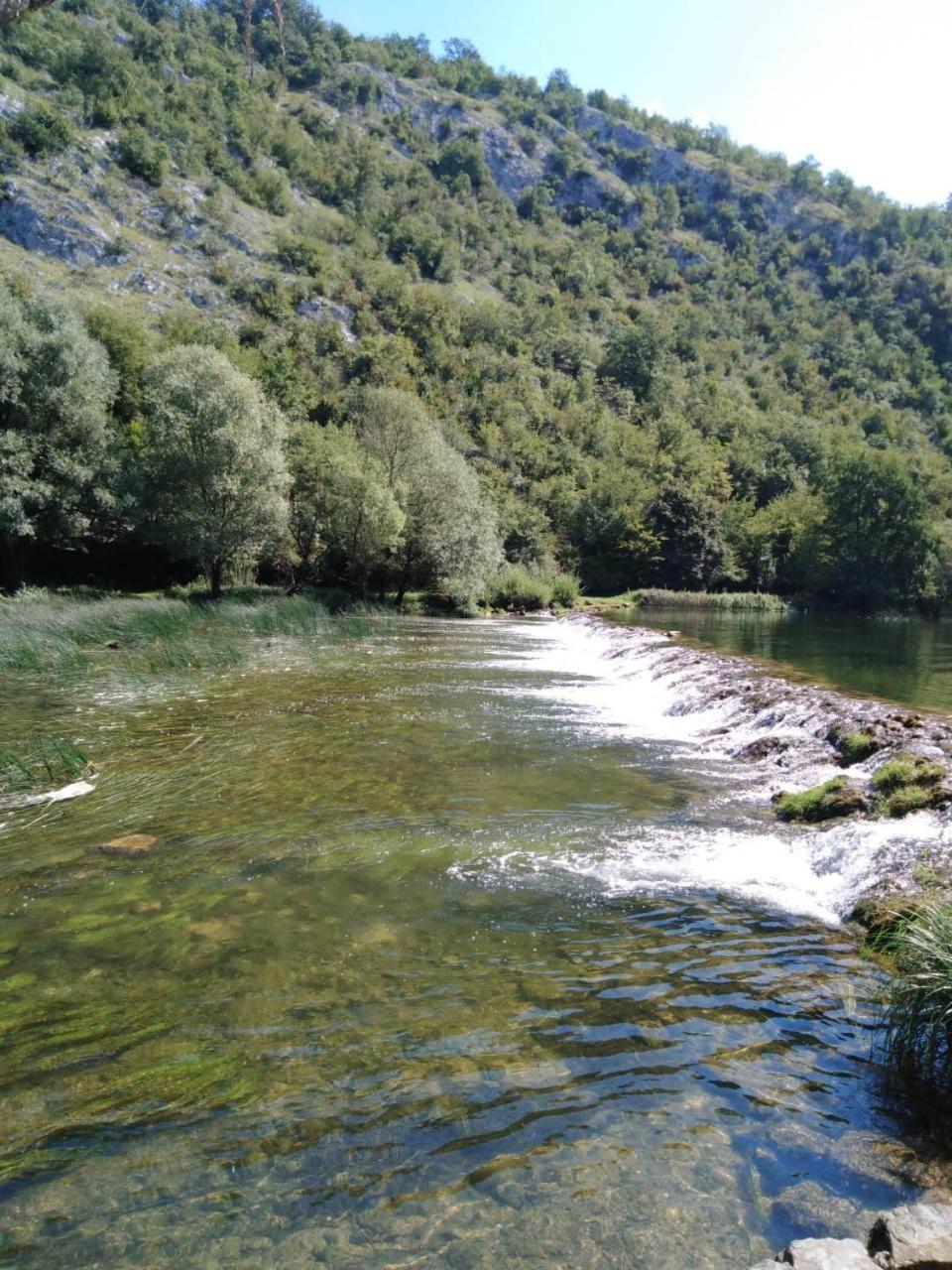Photo 52