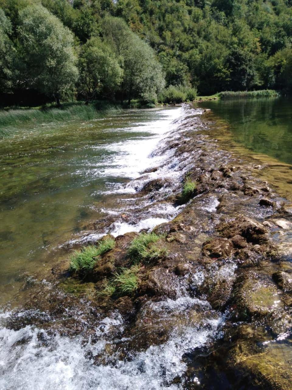 Photo 49