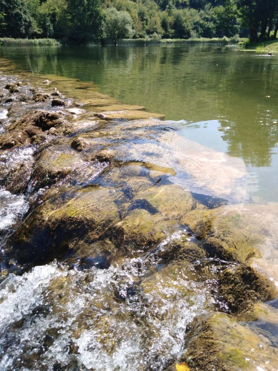 Photo 48