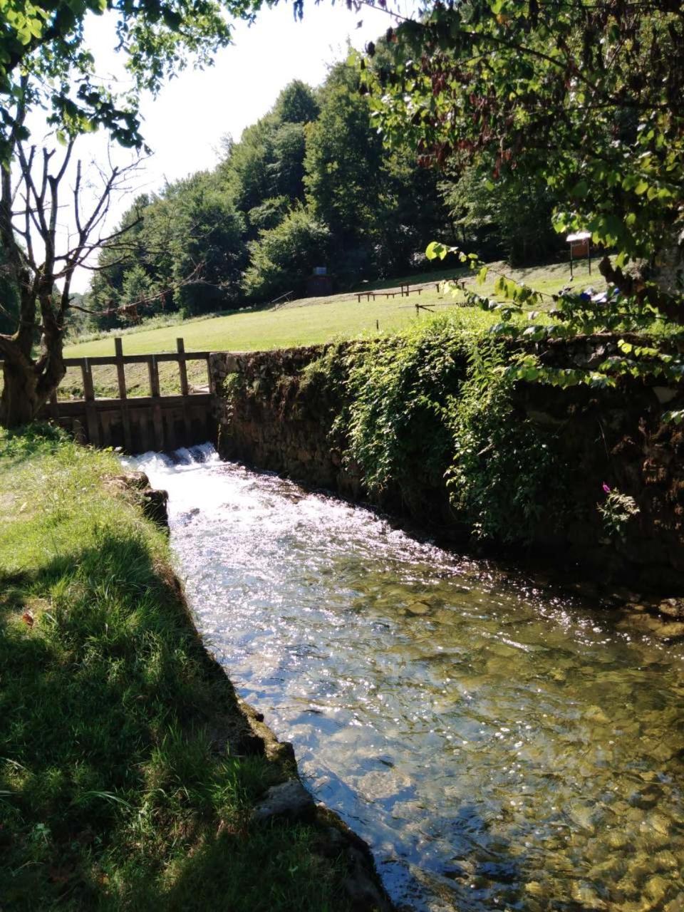 Photo 46