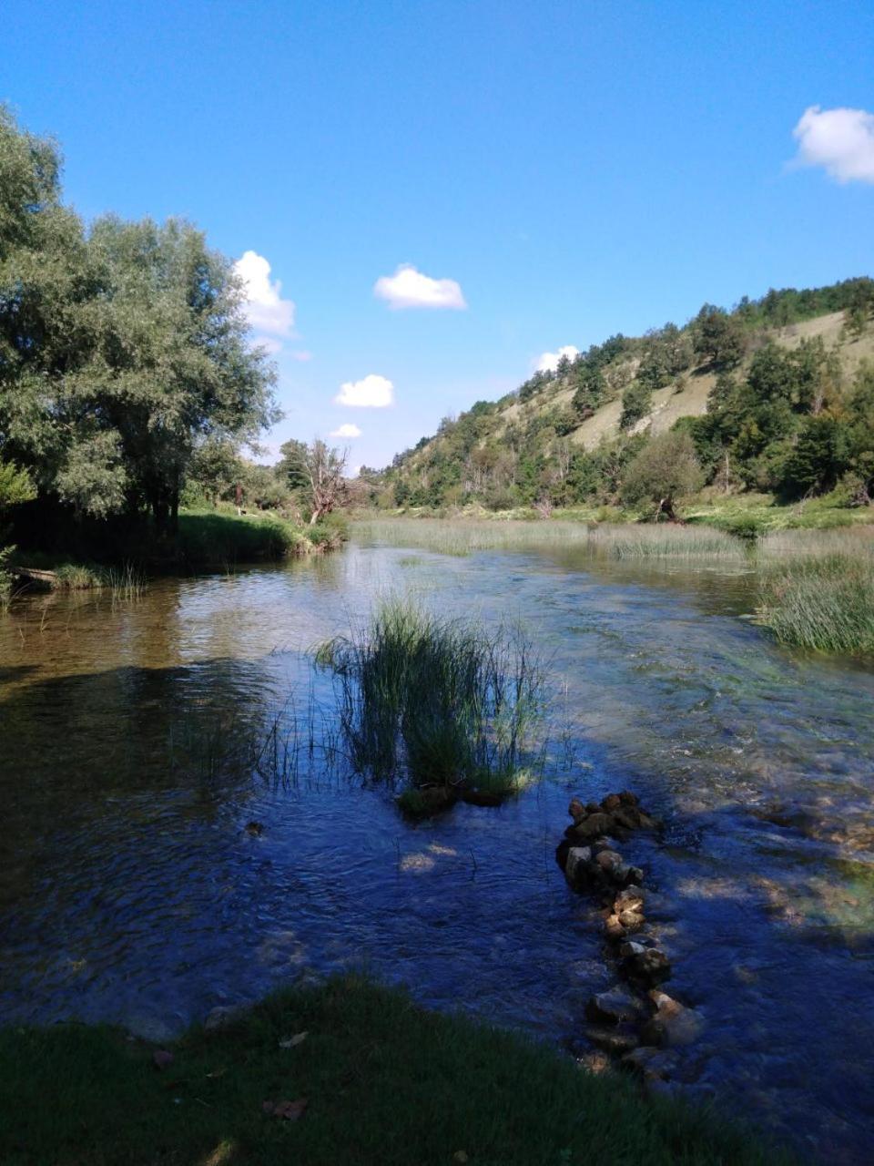 Photo 45
