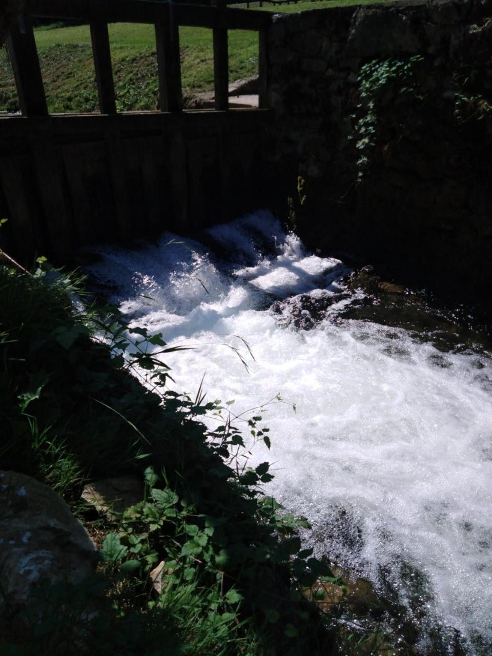 Photo 44