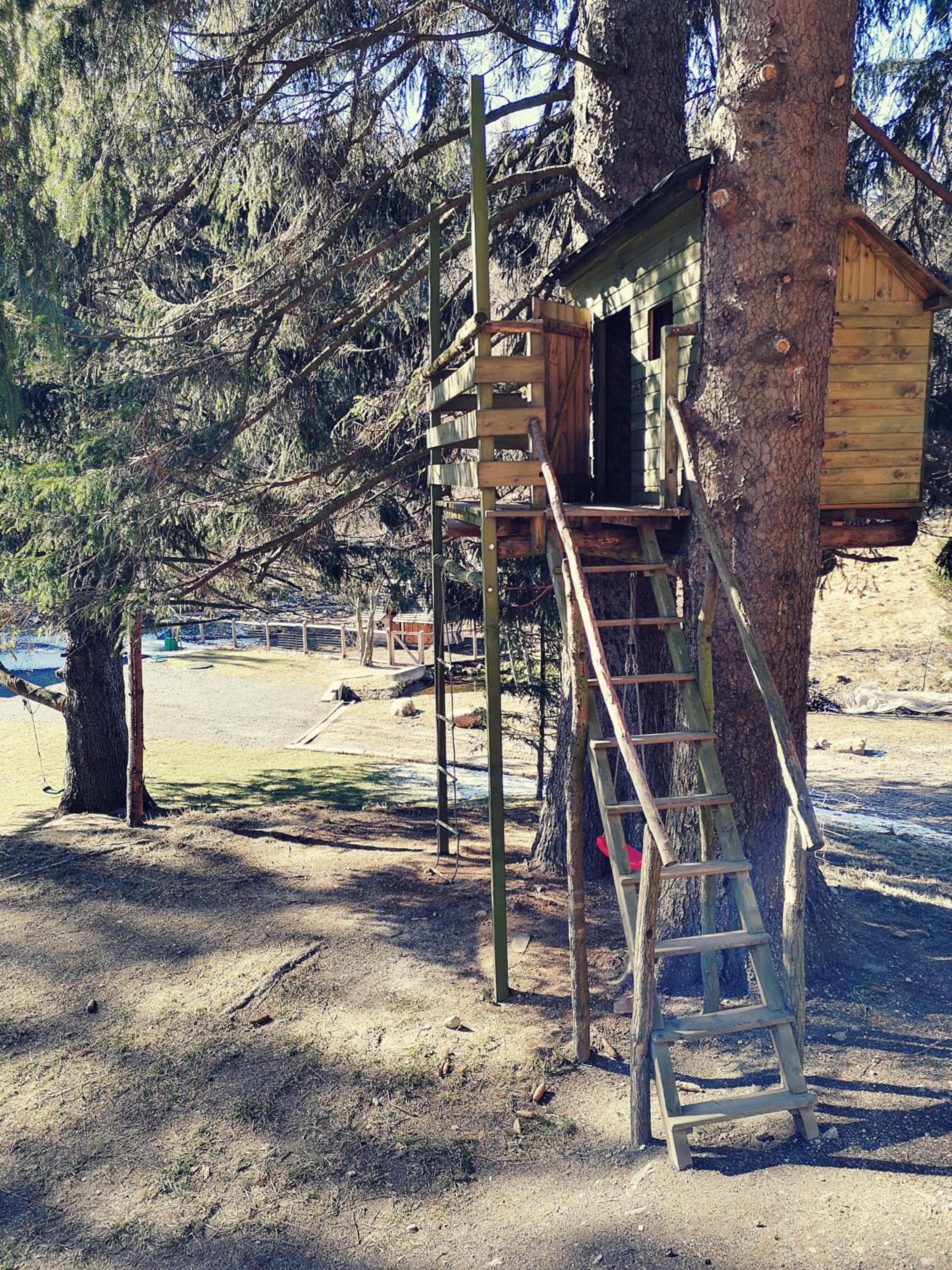 Photo 47