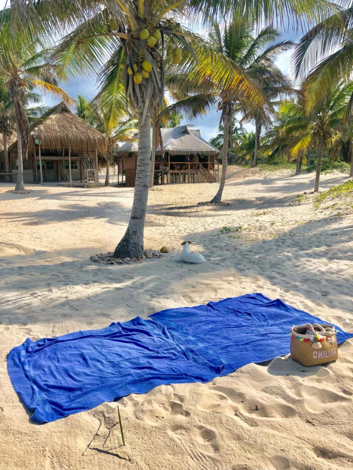 Pura Vida Lodge