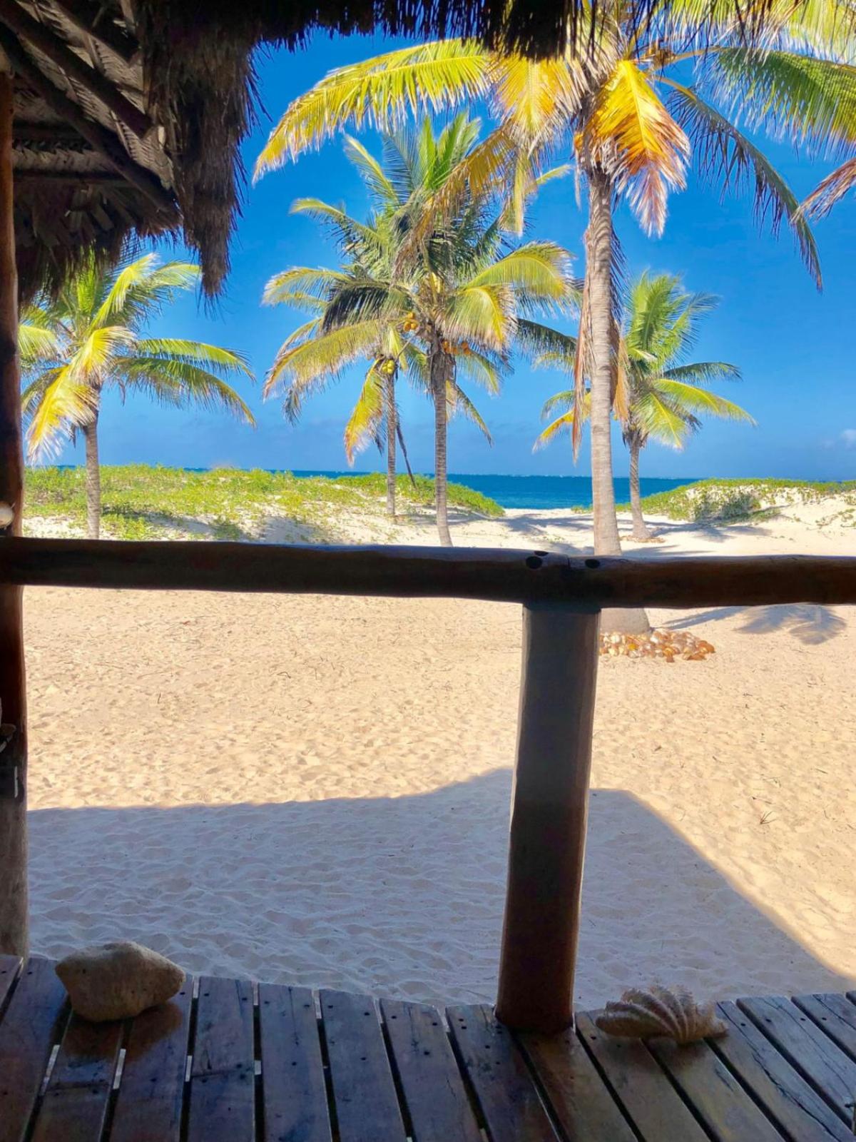 Pura Vida Lodge
