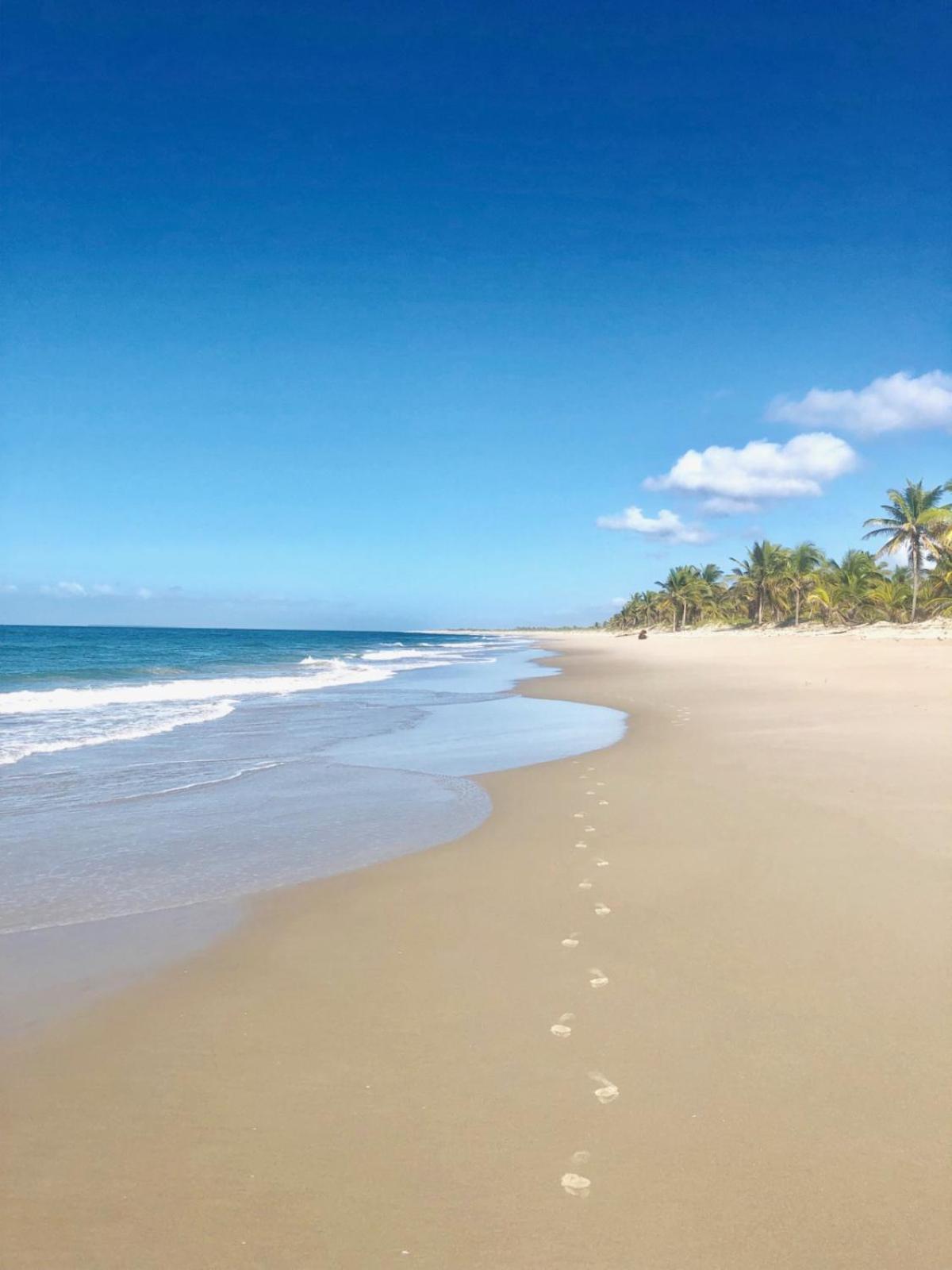 Pura Vida Lodge