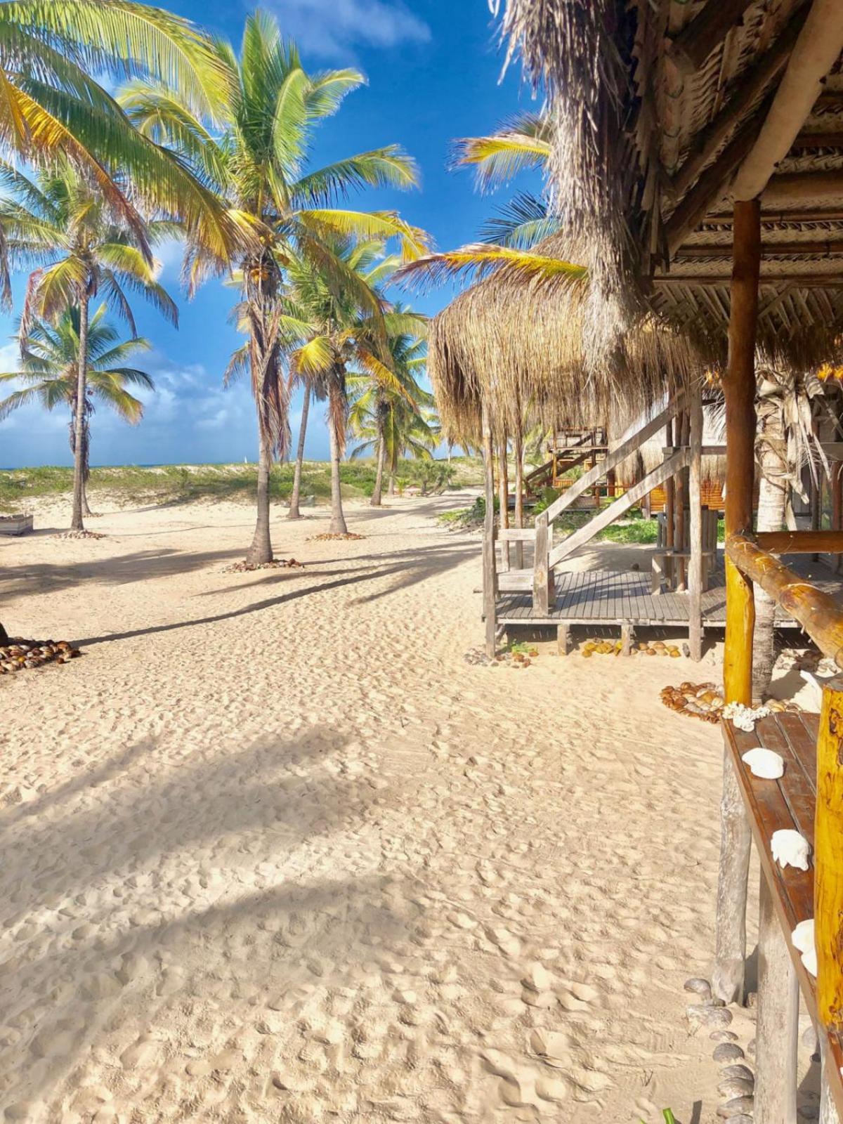 Pura Vida Lodge