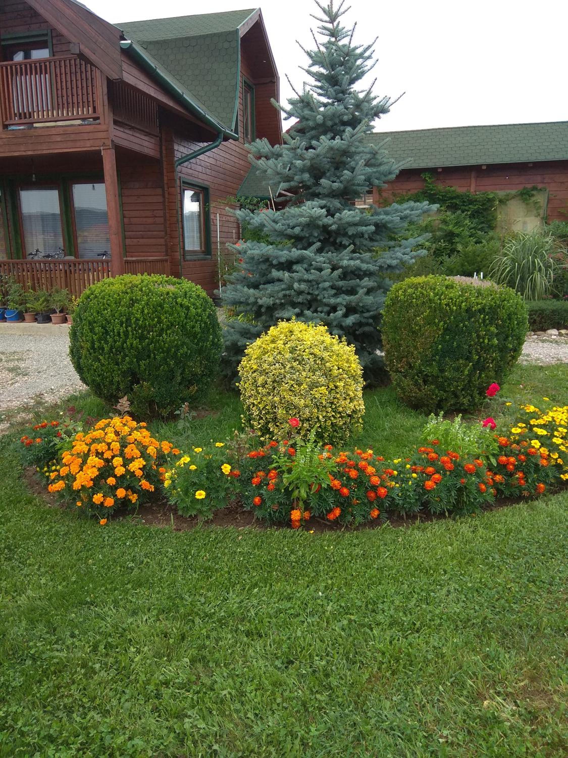 Photo 24