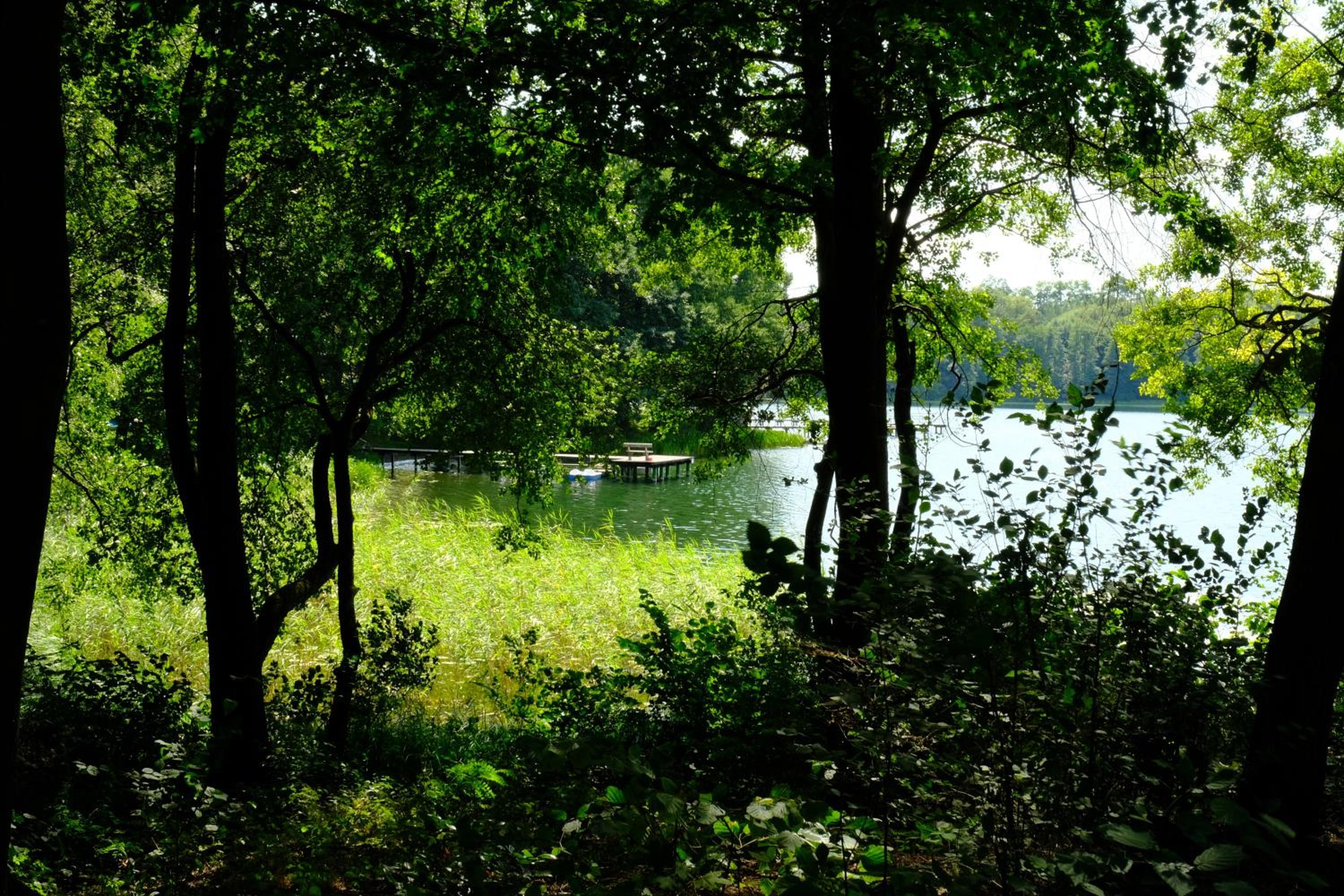 Stary Młyn Strzeszyn - Soft All Inclusive