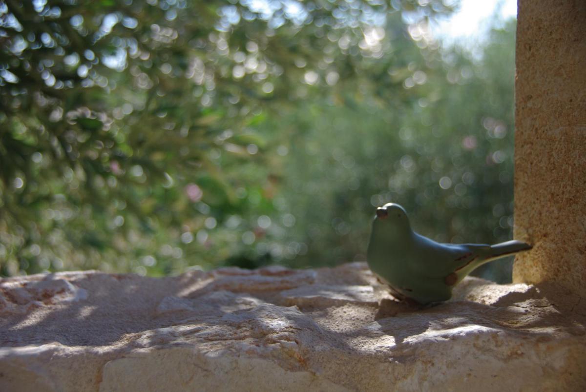 Photo 45