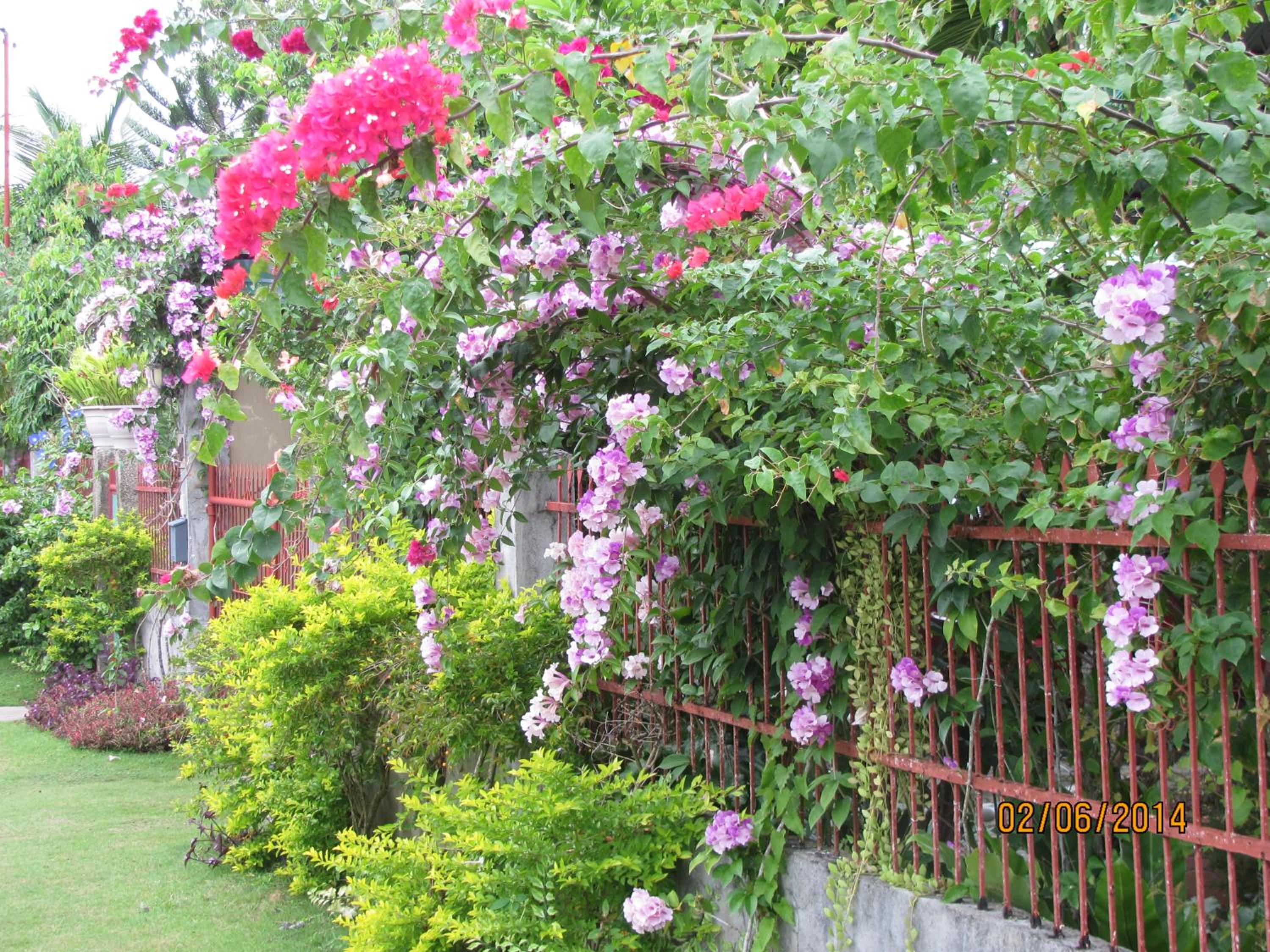 Villa 301 B&B