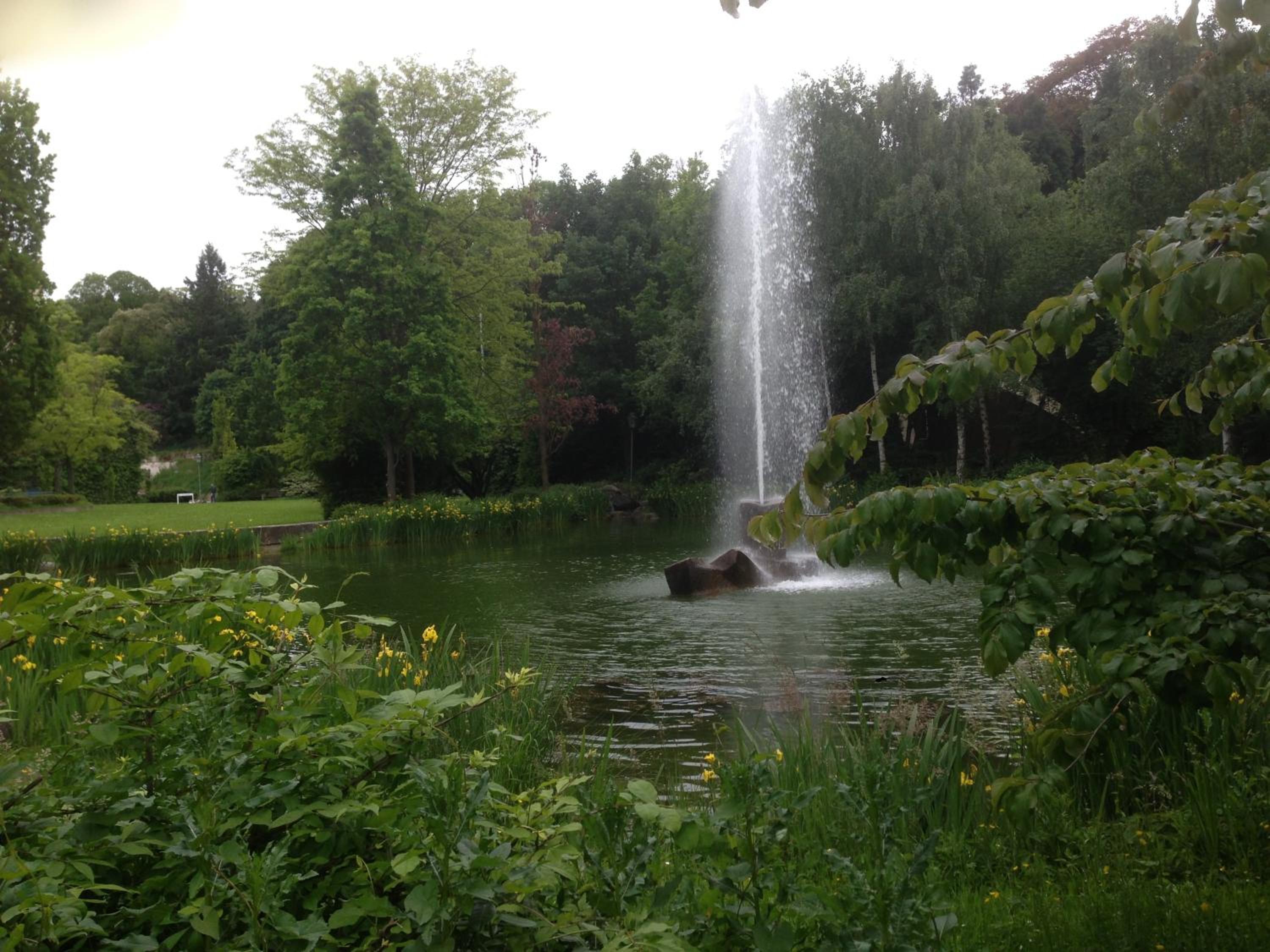 Photo 24