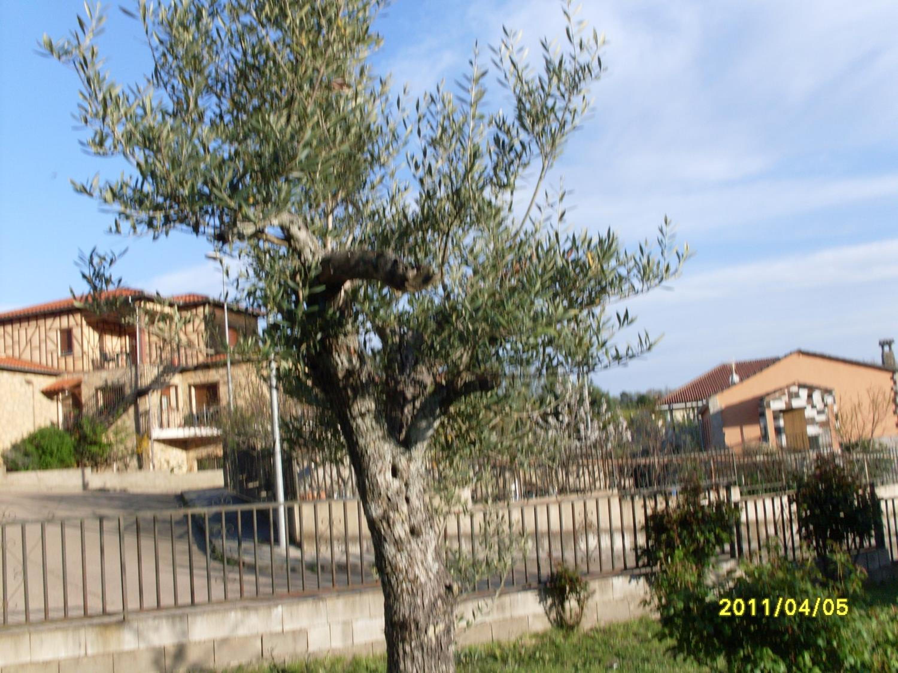 Photo 40