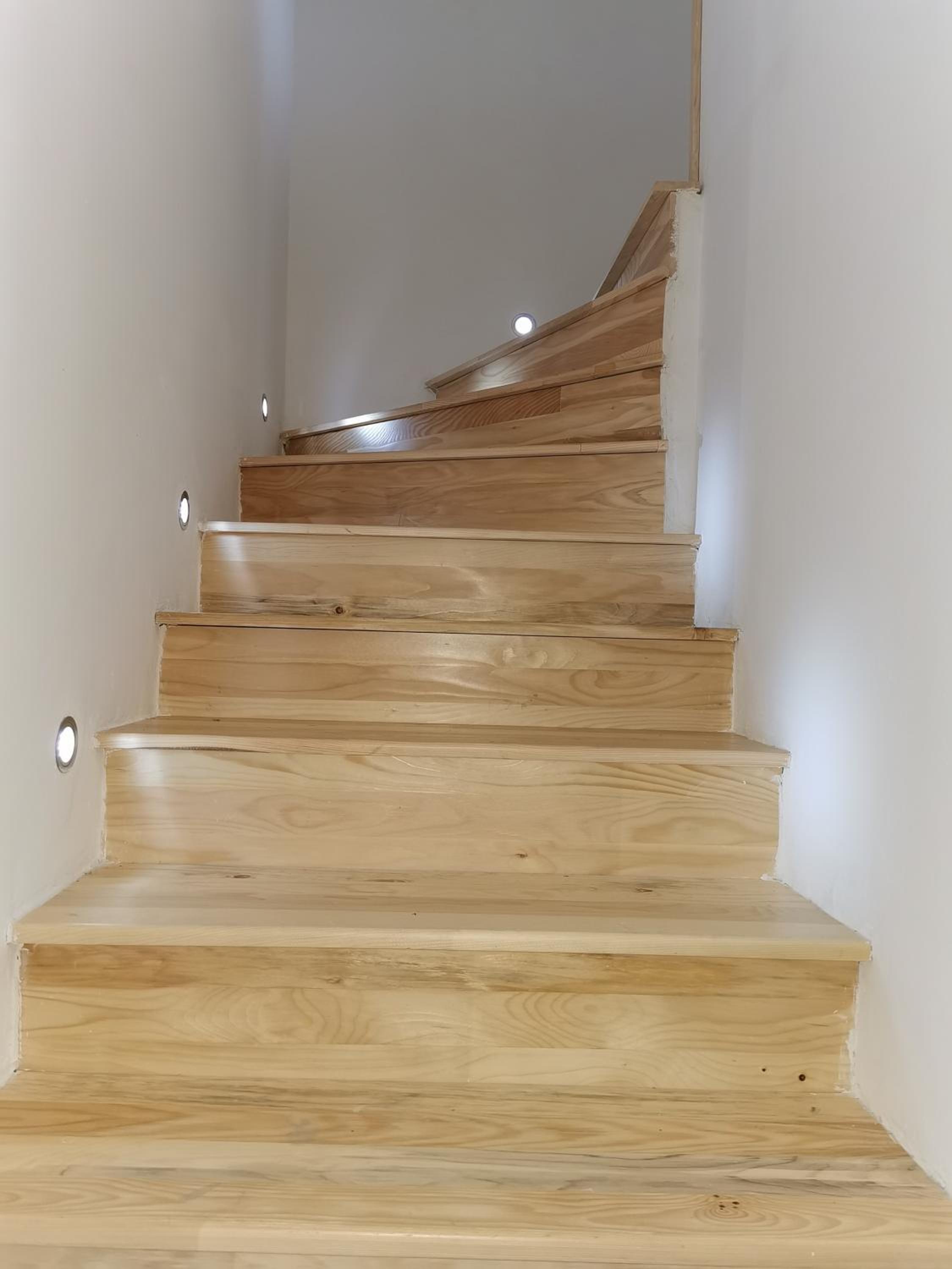 Apartman Dositej