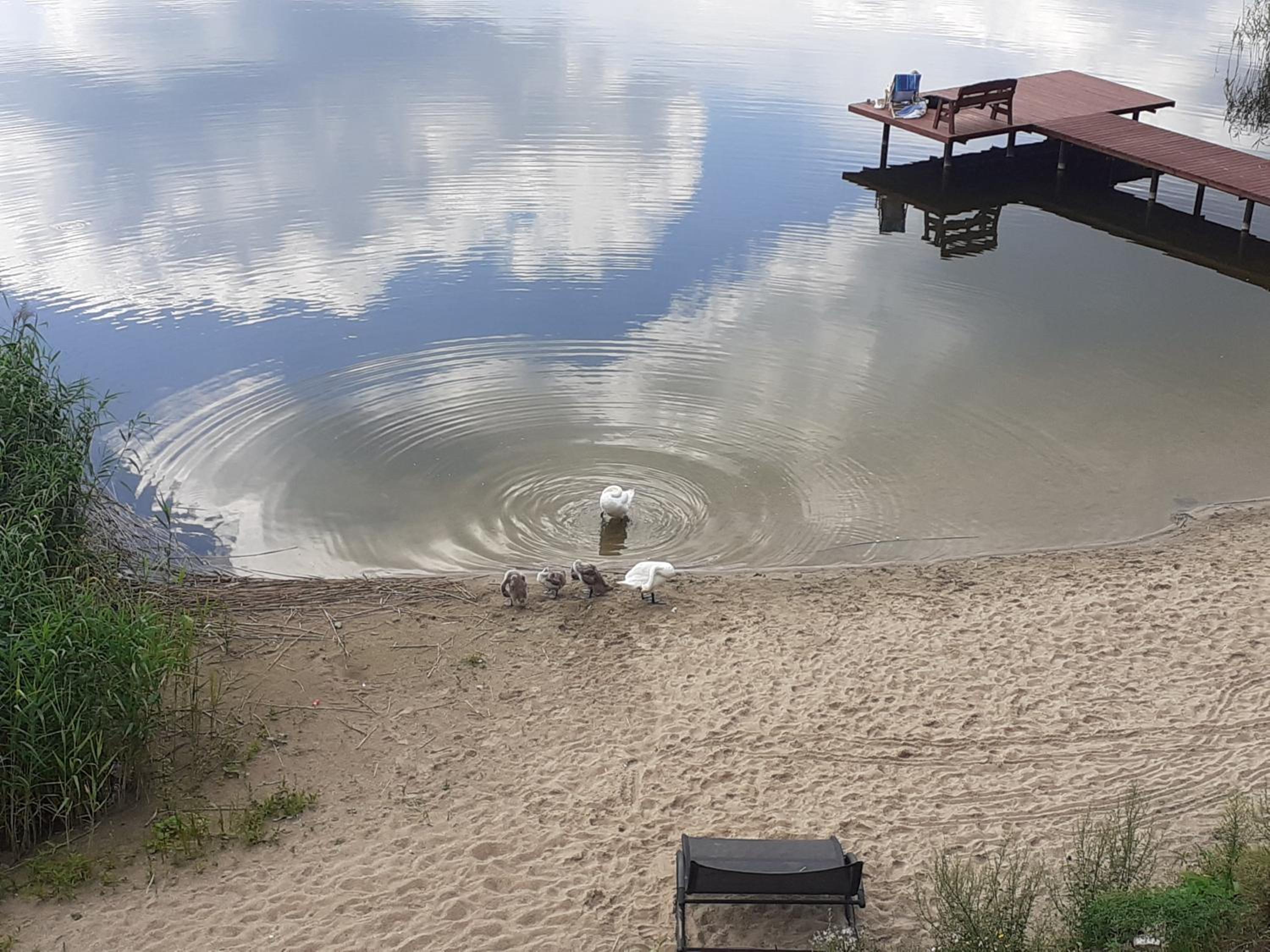 Mazurskie Klimaty Tatarak