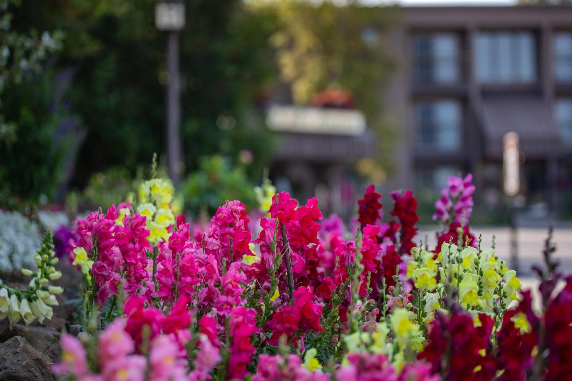 Fairbanks Vacations - Sophie Station Suites - Property Image 1