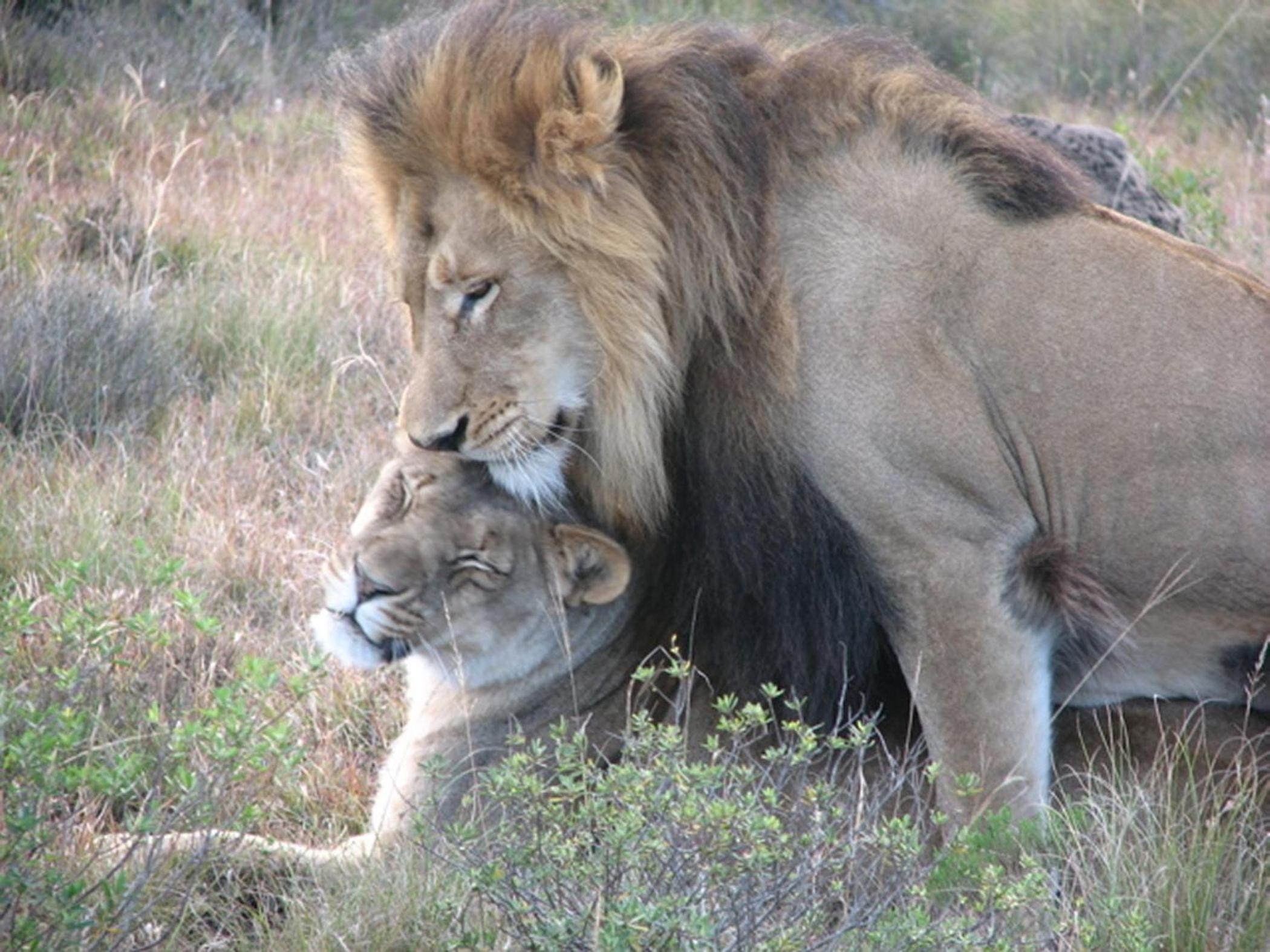 Photo 67