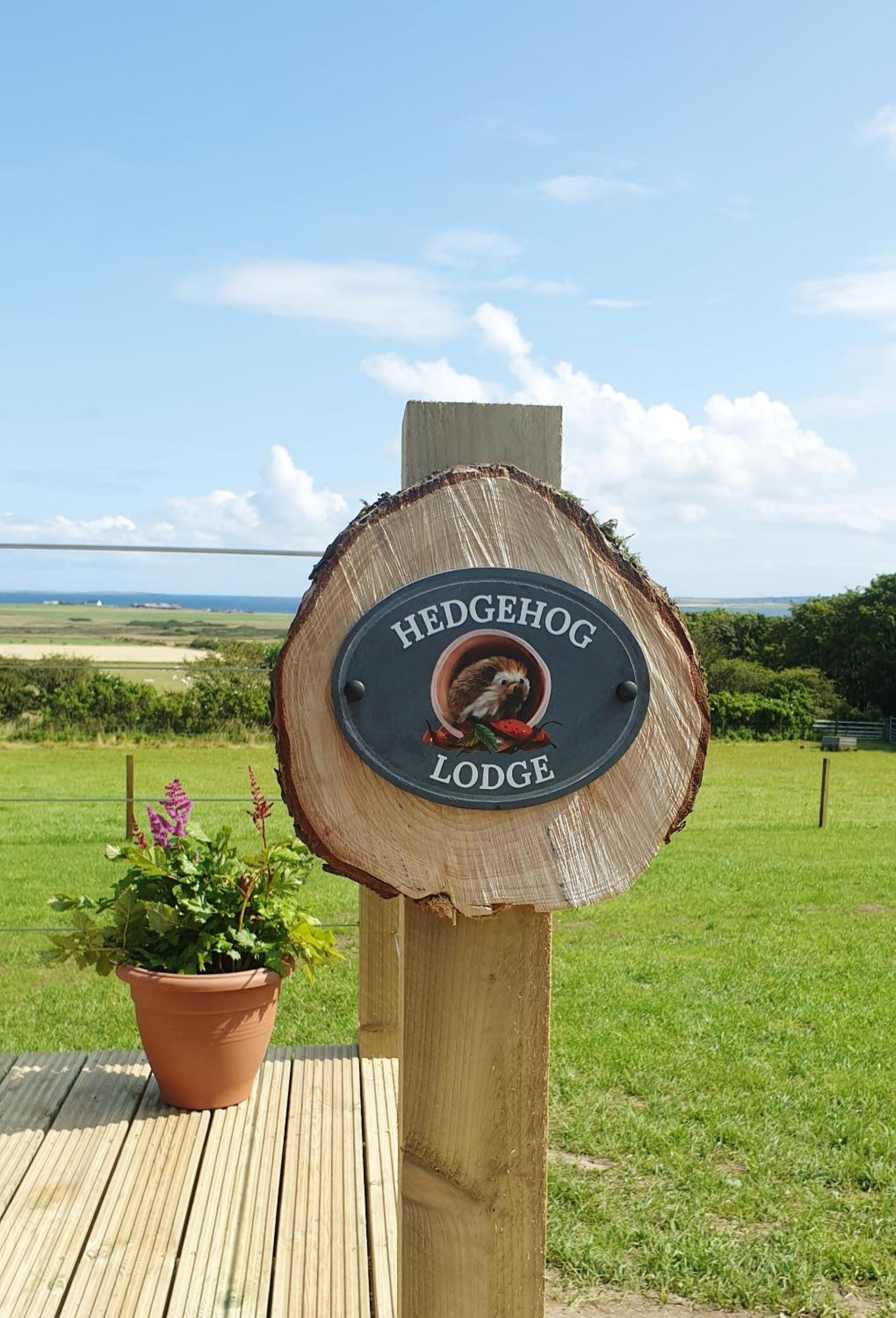 Lilly's Lodges Orkney Hedgehog Lodge view 3