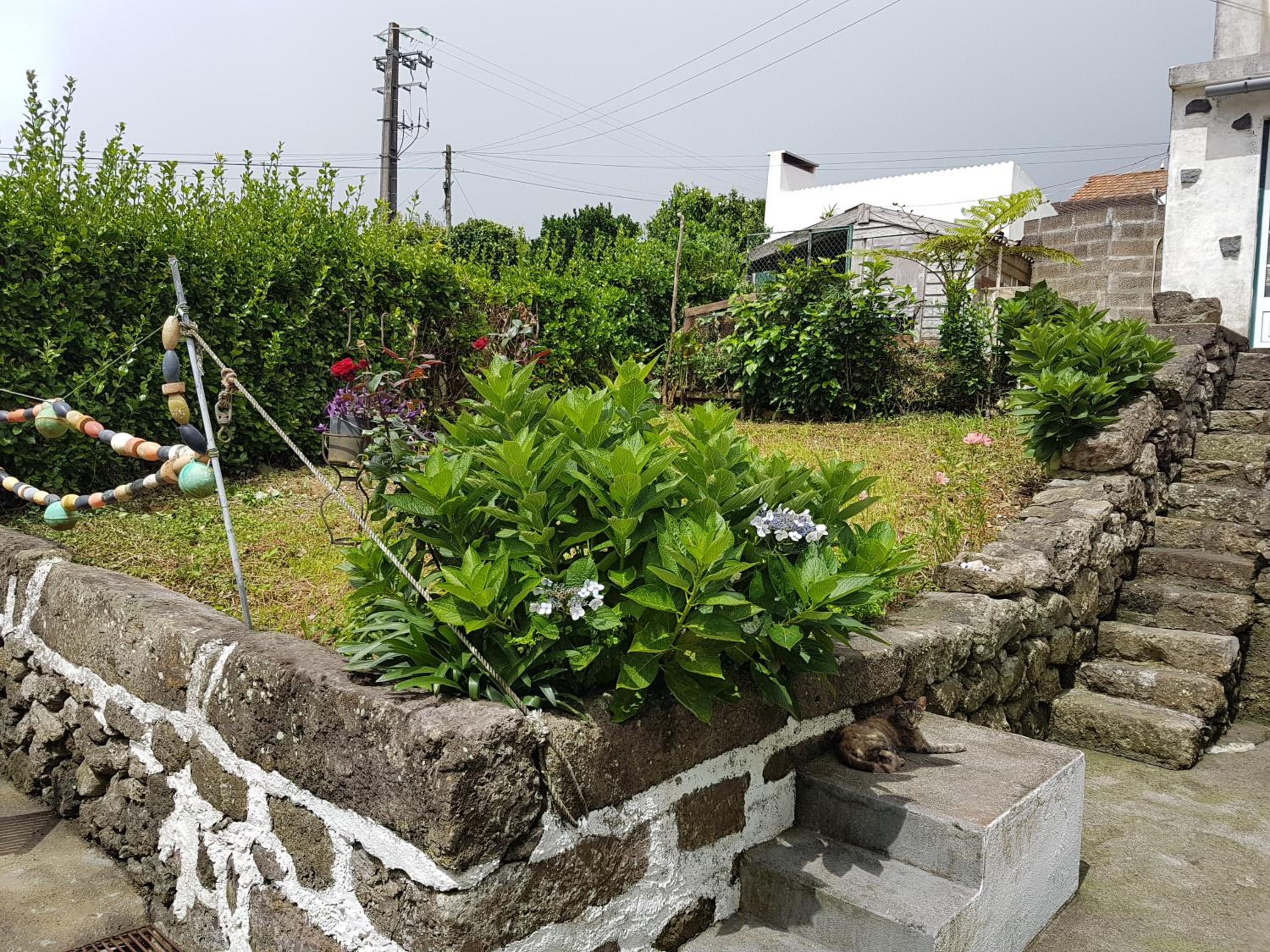 Photo 47