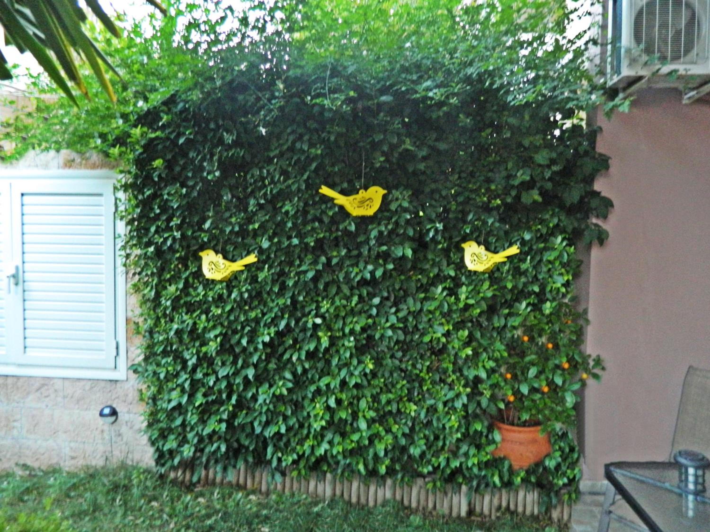 Photo 51