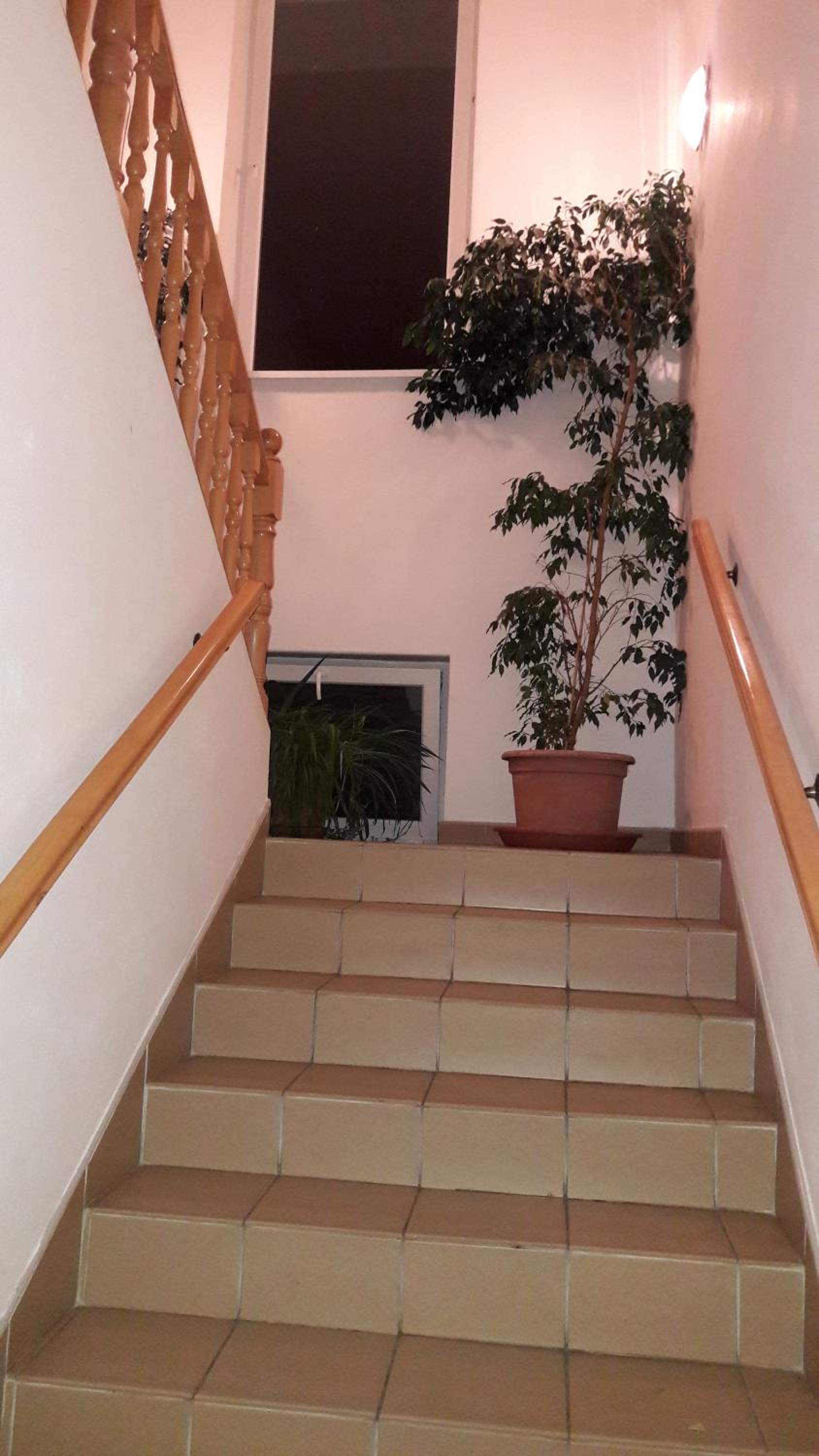 Photo 34