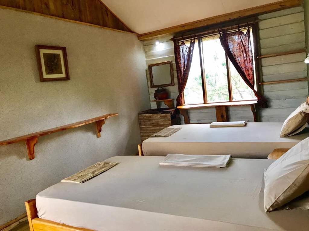 Miseni Retreat