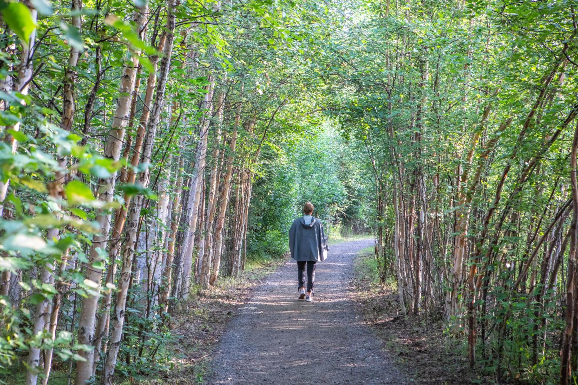 Fairbanks Vacations - Wedgewood Resort - Property Image 23