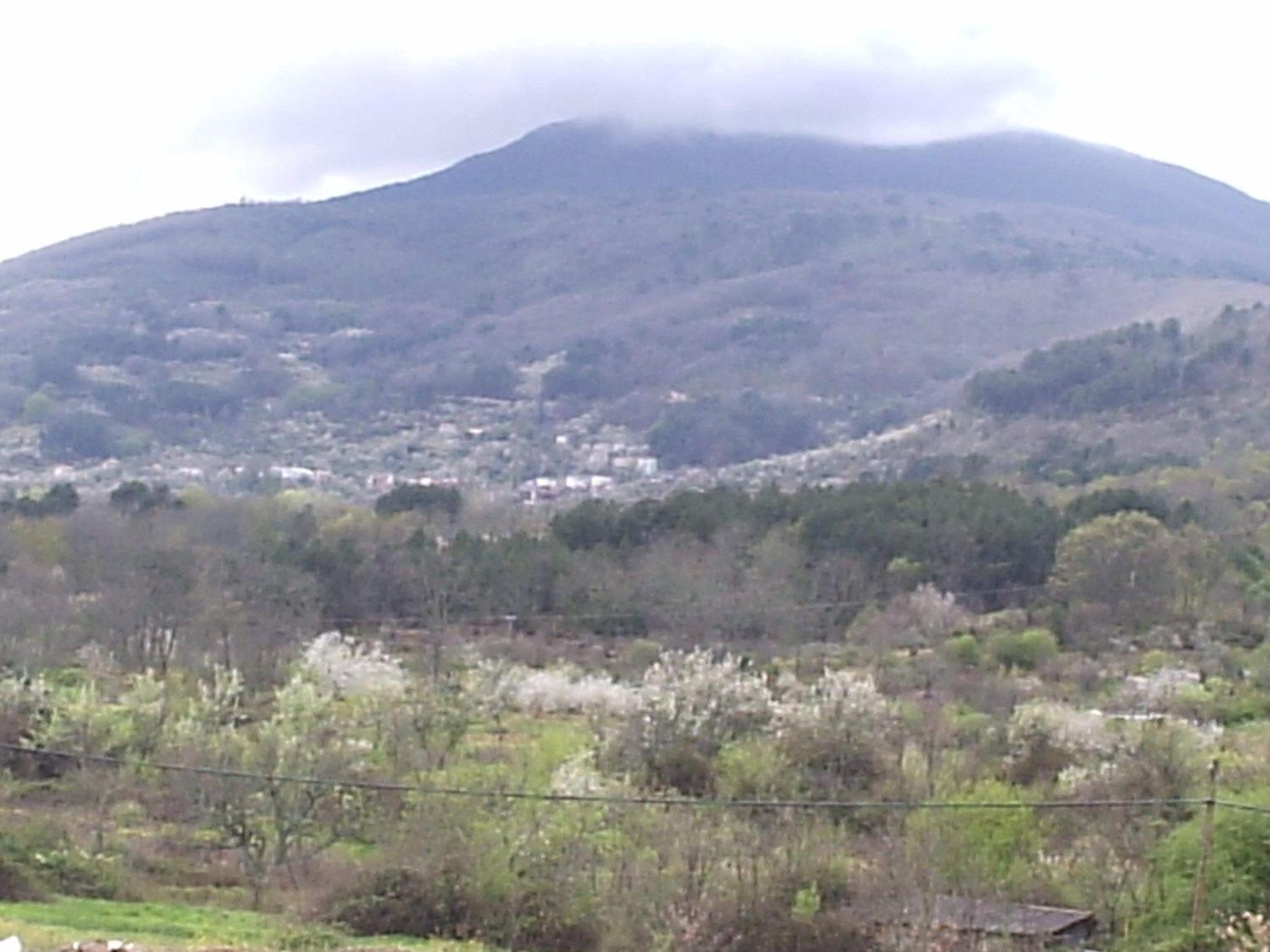 Photo 42