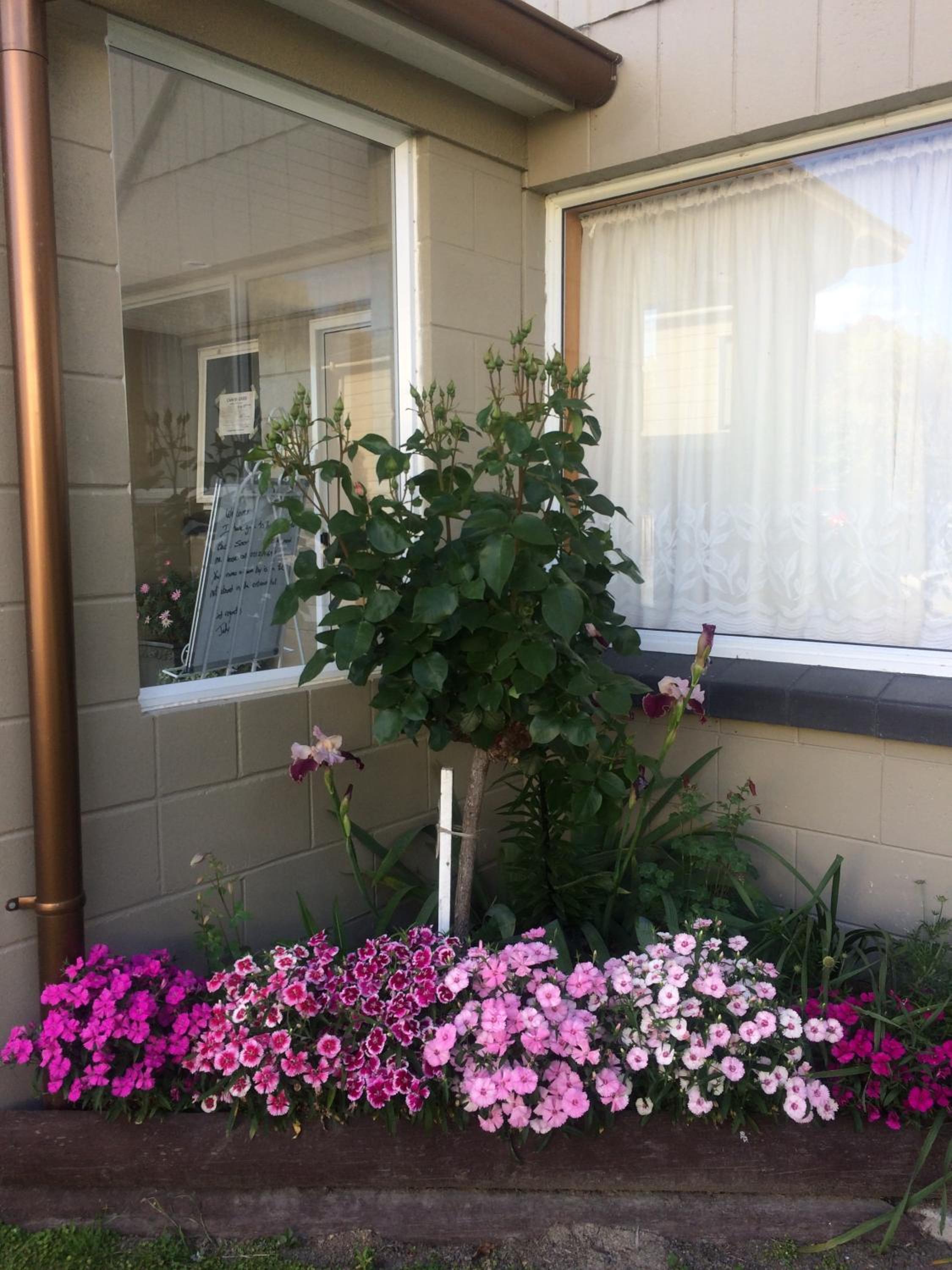 Photo 34