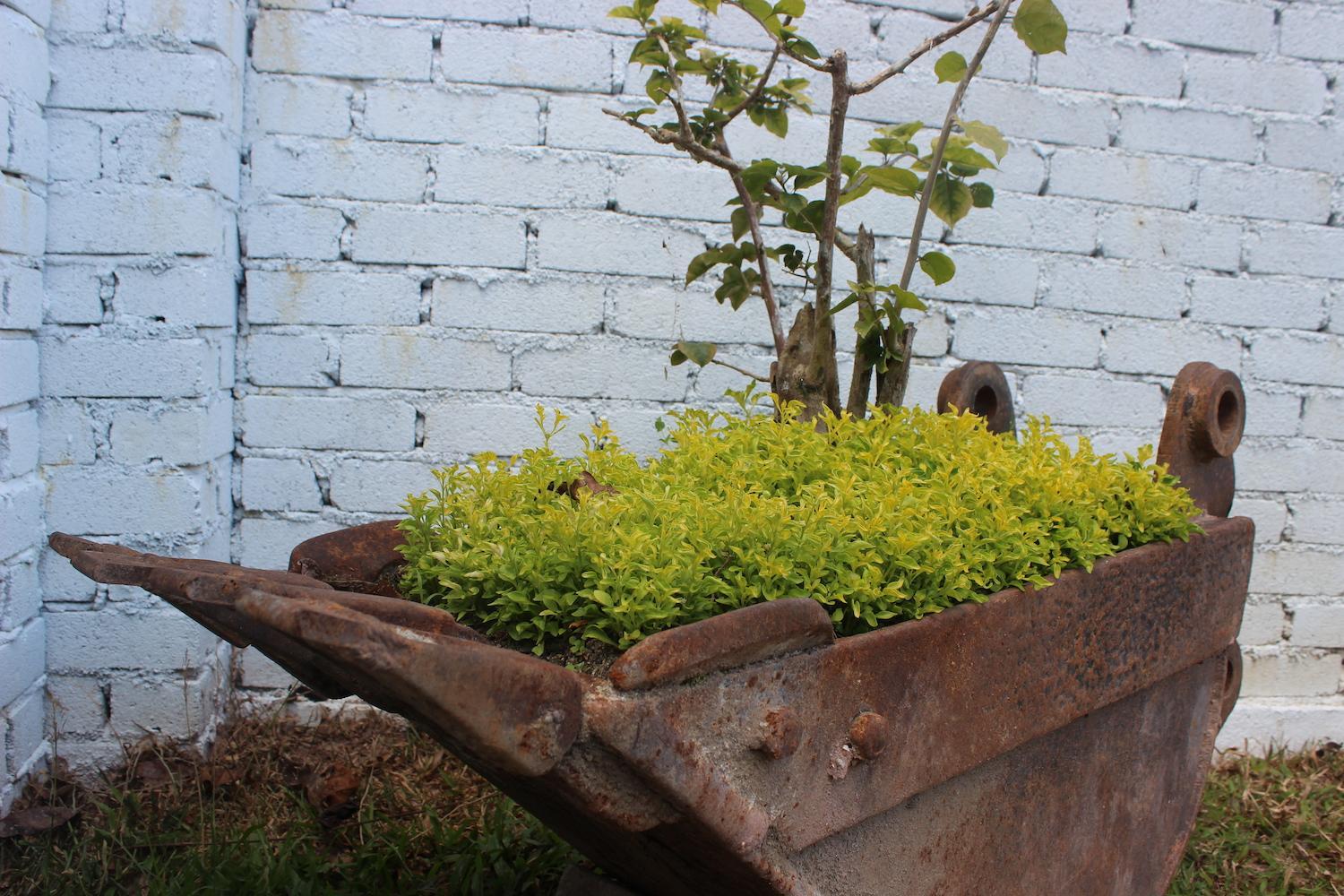 Photo 23