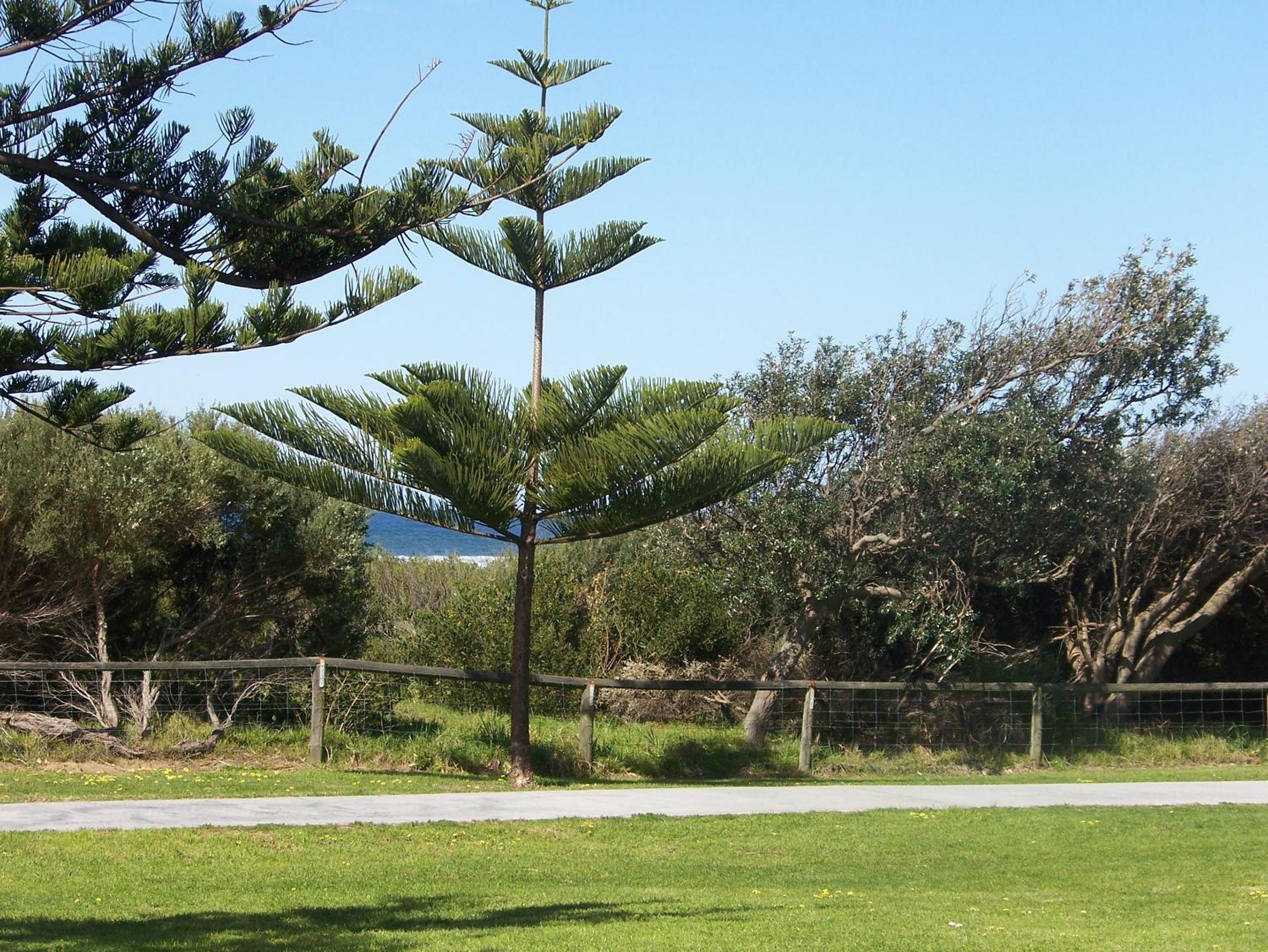 Werri Beach Holiday Park