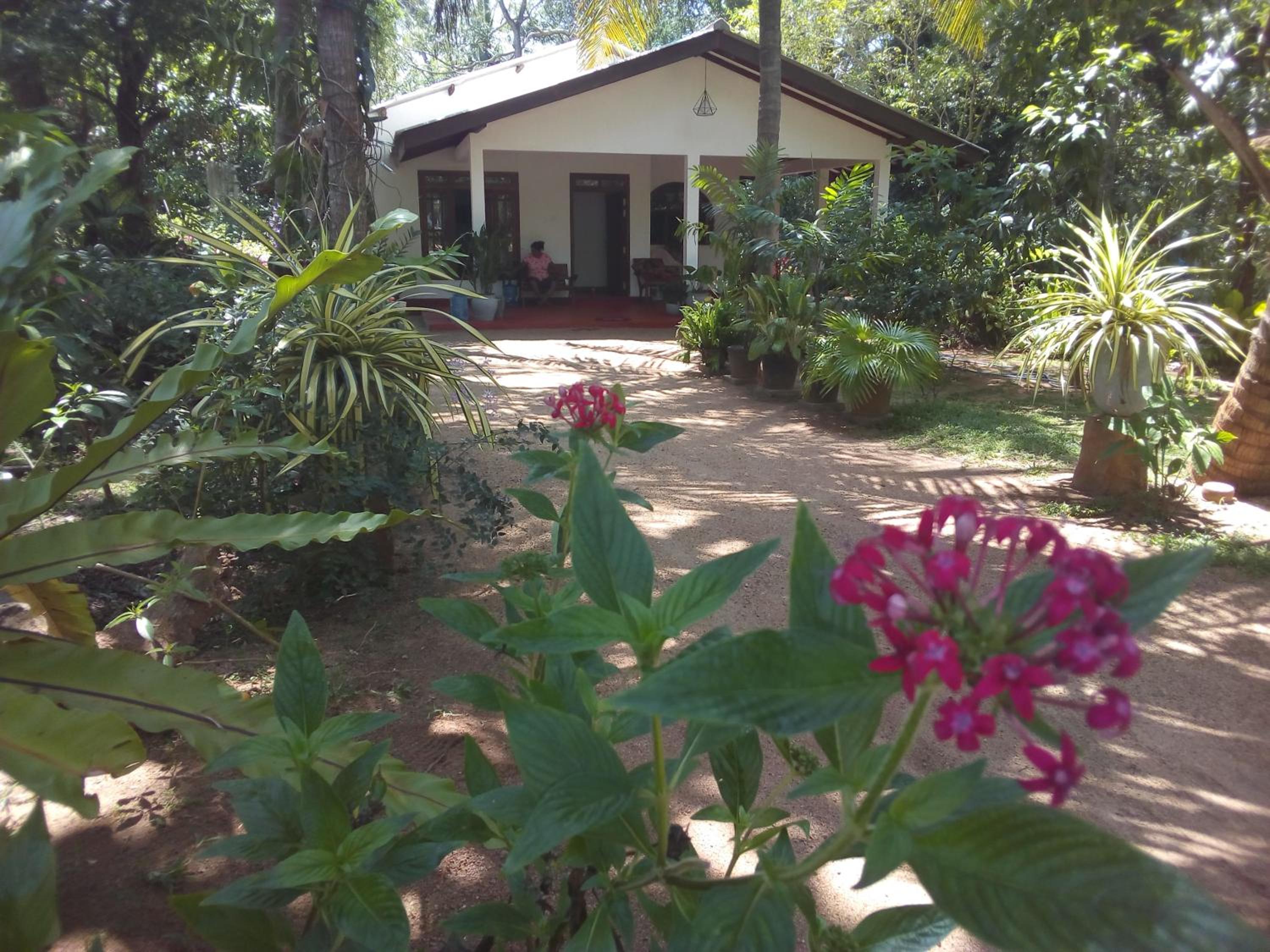 Ossa home stay