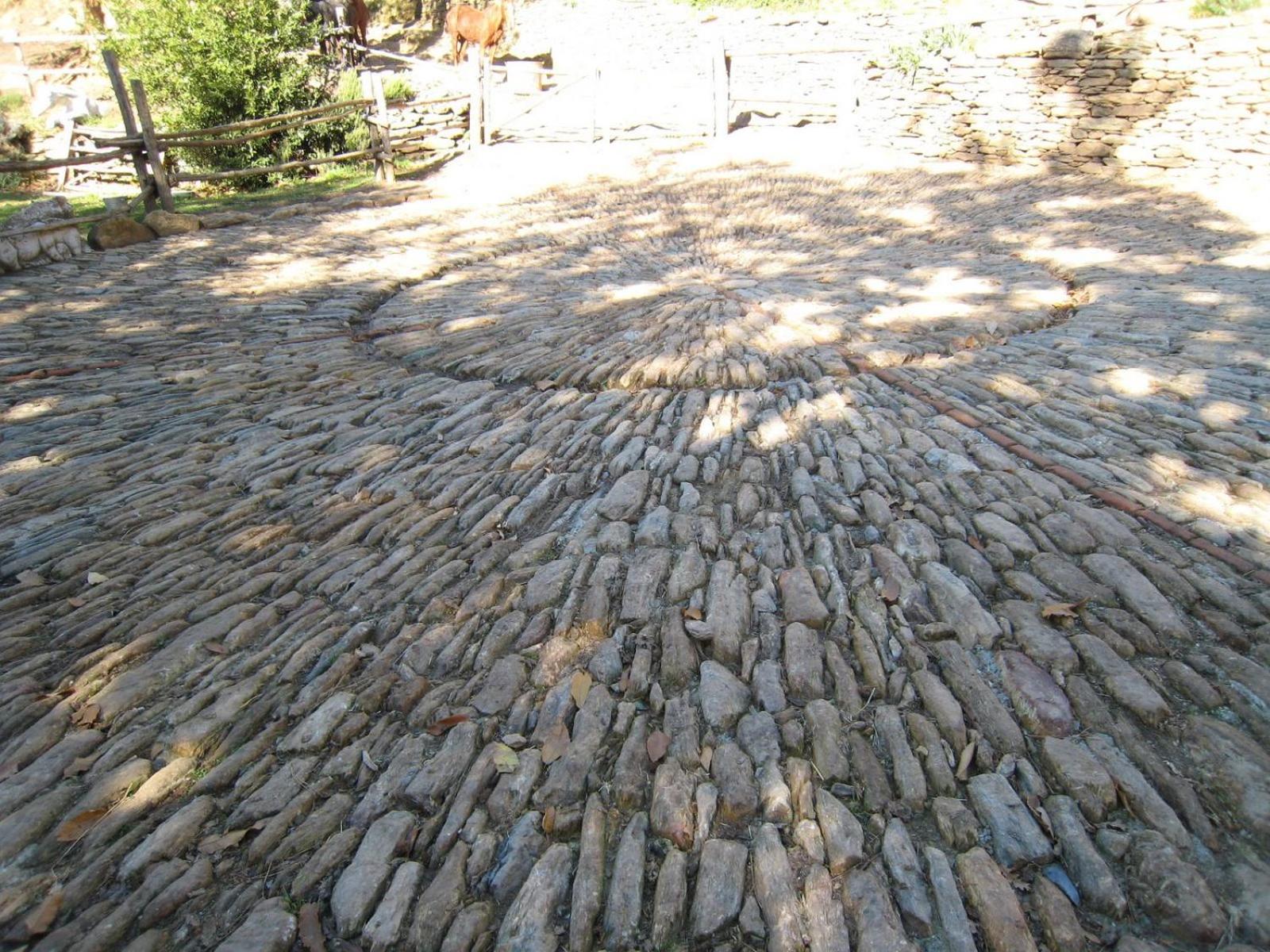 Photo 25