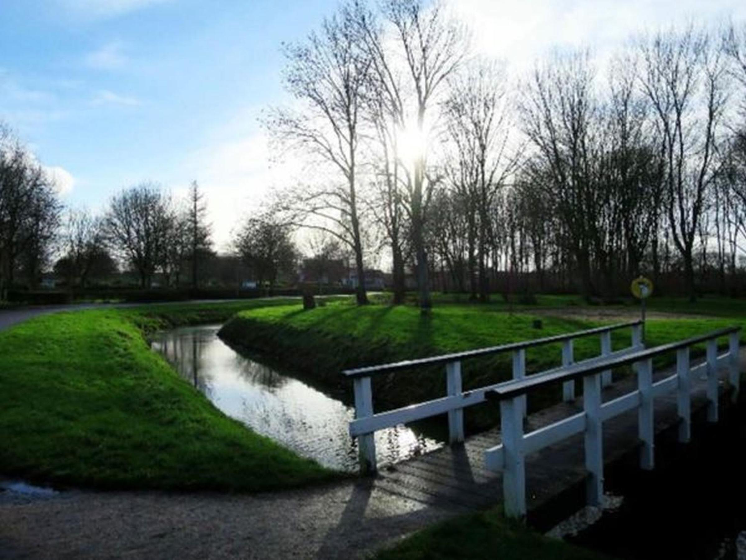 Photo 13