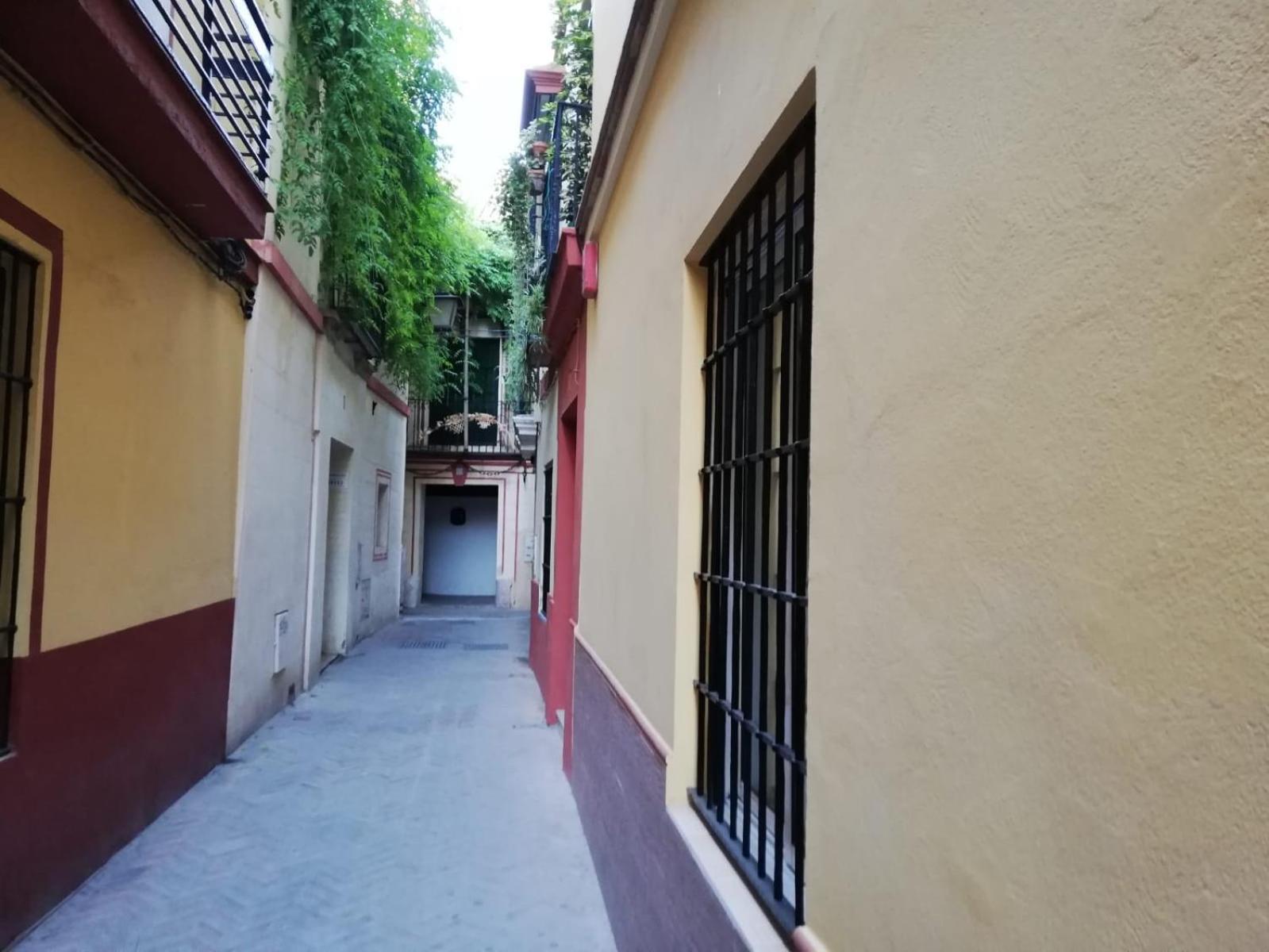 Apartamento en la Judería de Sevilla