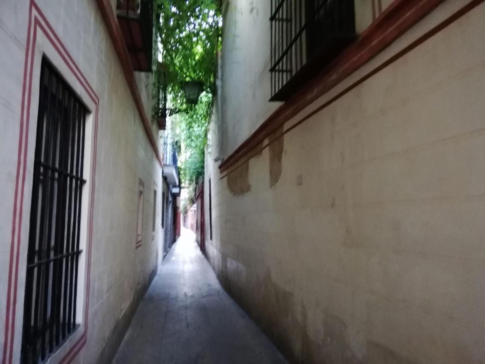 Apartamento en la Judería de Sevilla