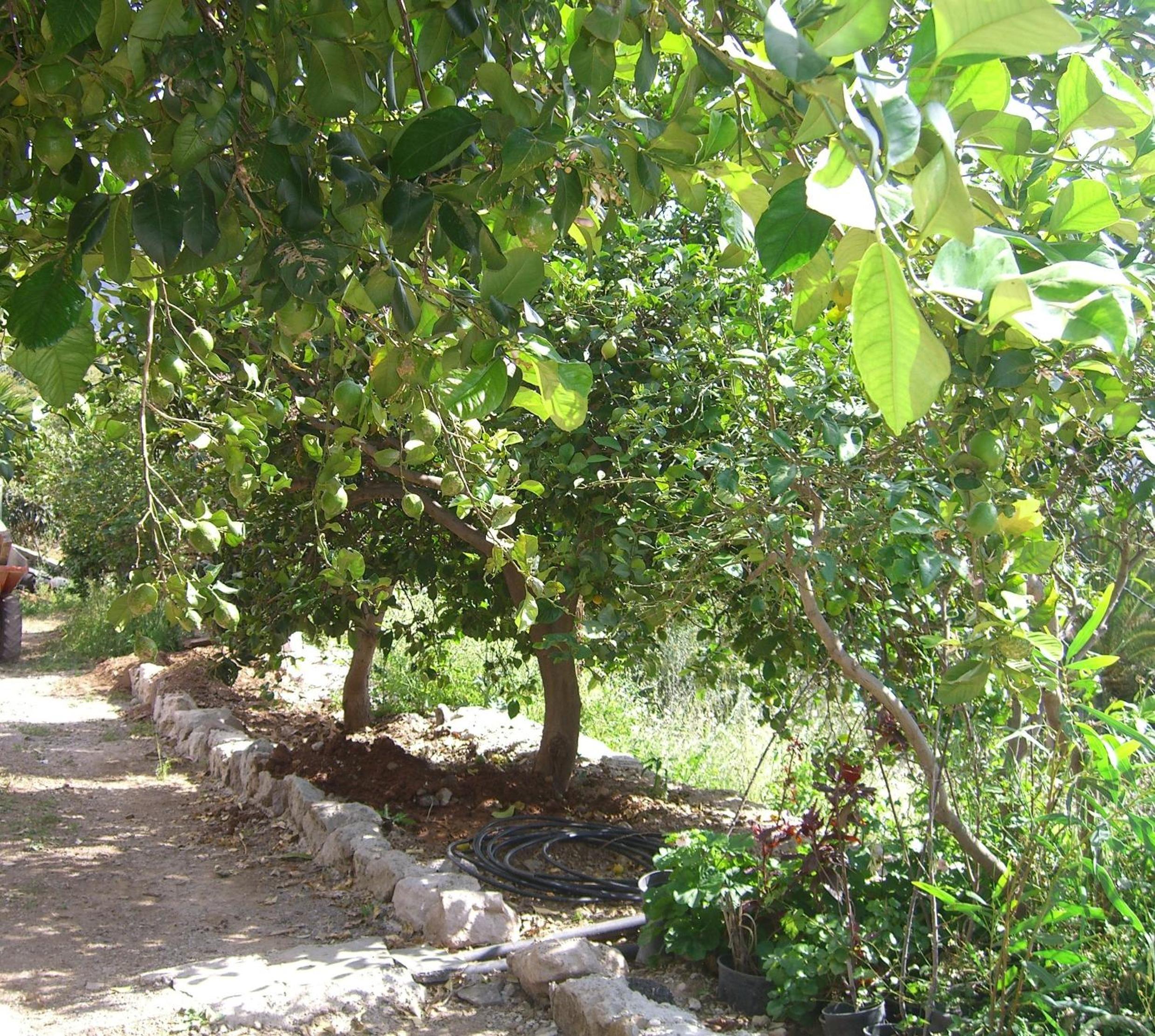Photo 35