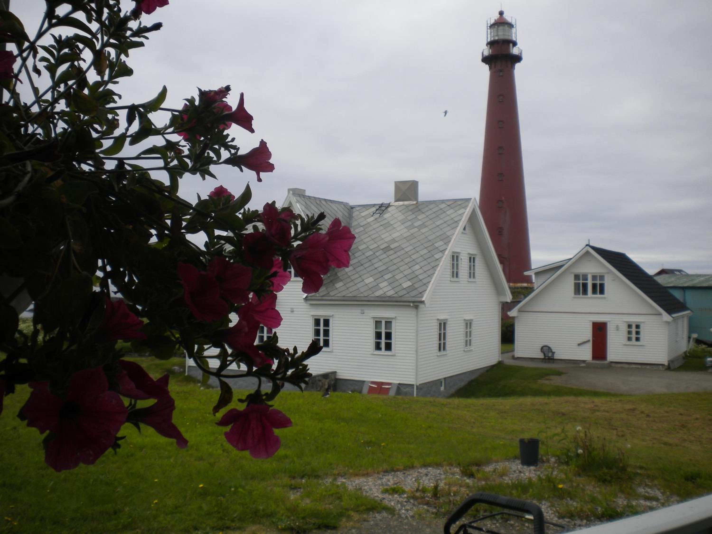 Photo 32
