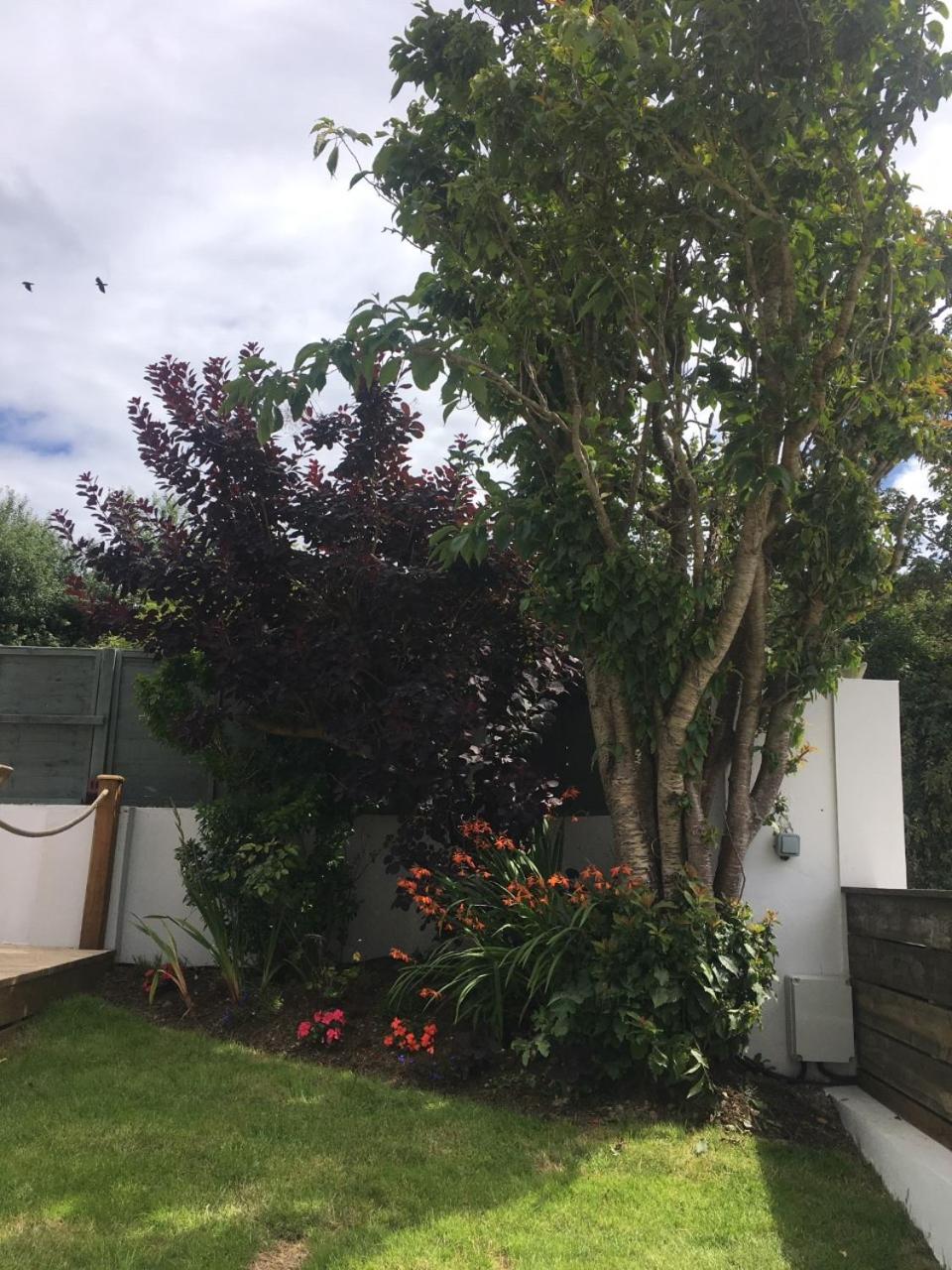 Photo 25