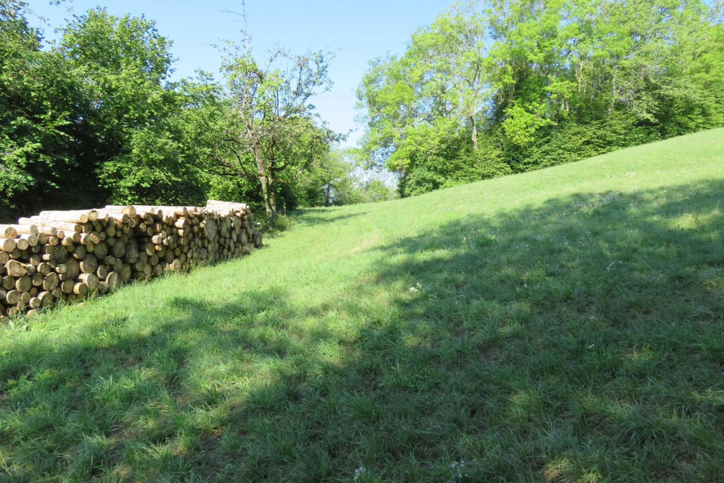 Photo 48