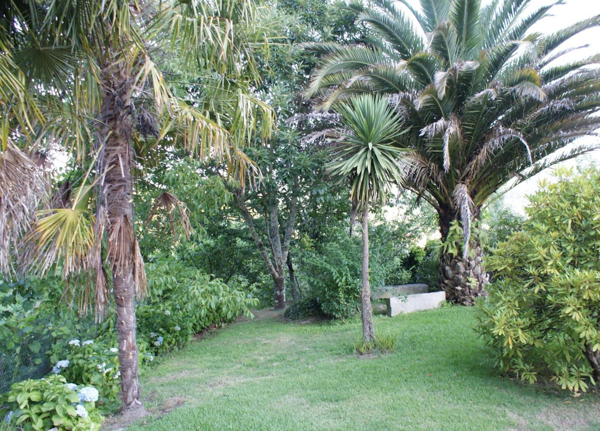 Quinta de Canhões view 4