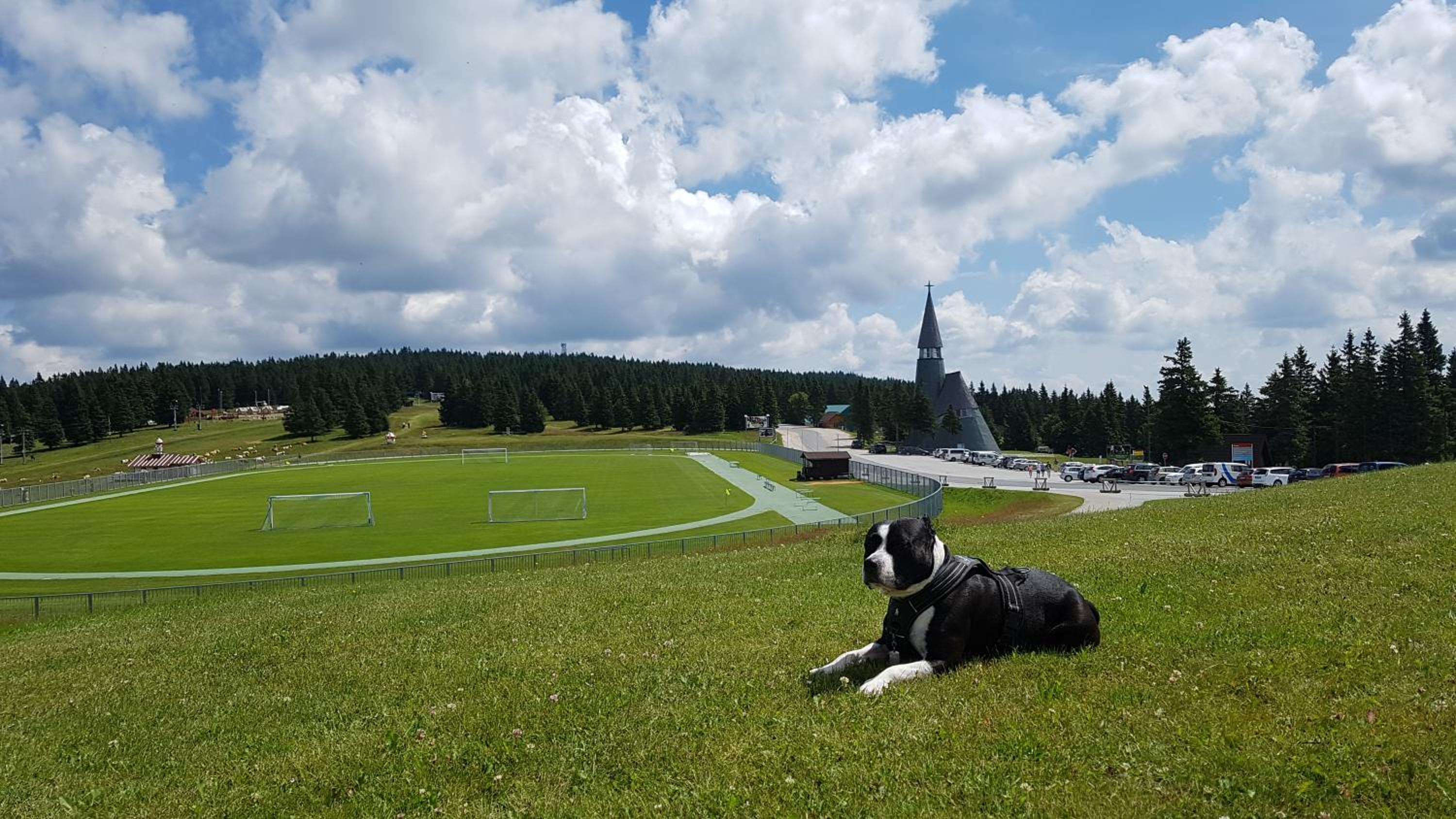 Rogla Apartma Kekec